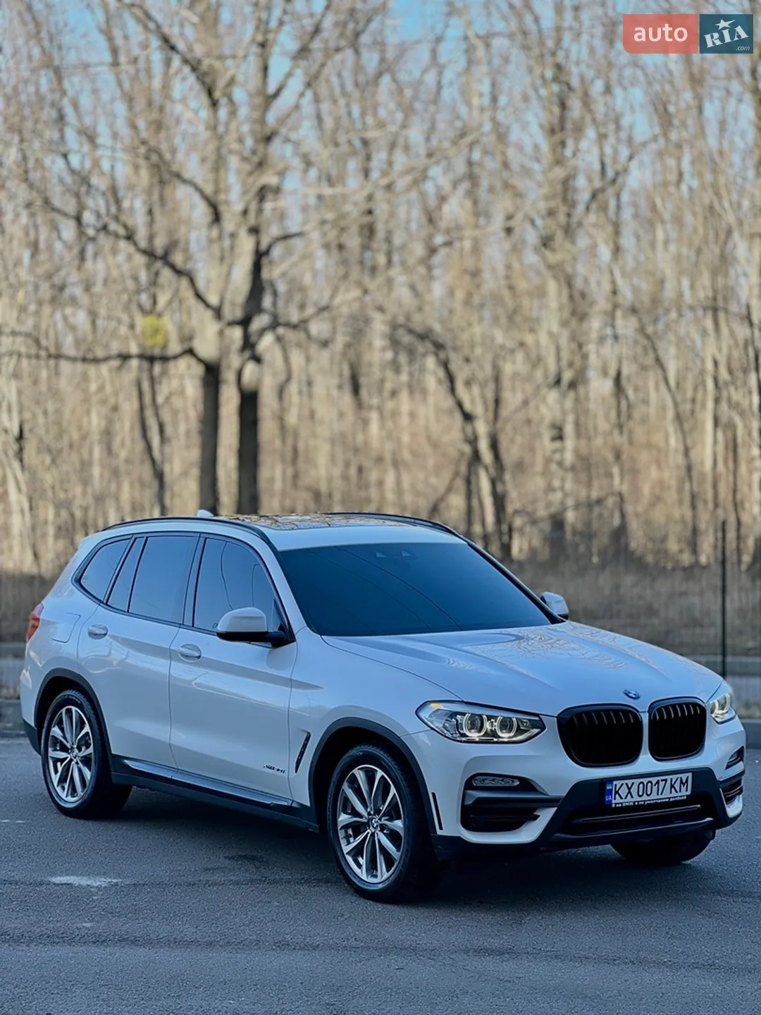 2018 BMW X3 - фото 1