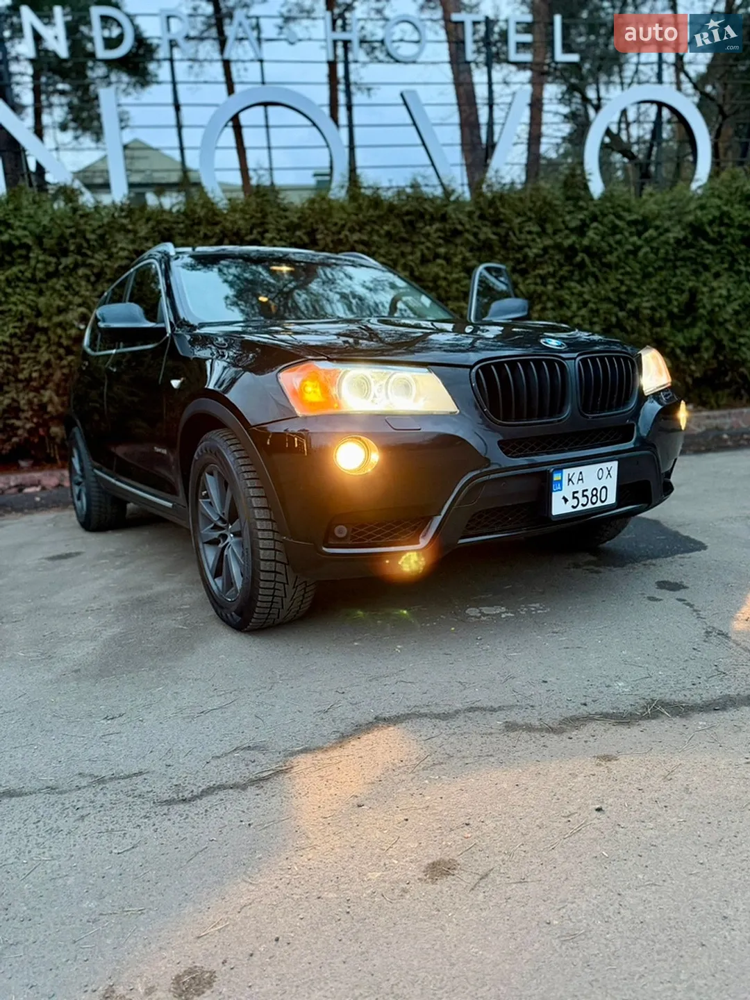 2010 BMW X3 - мініатюра 2