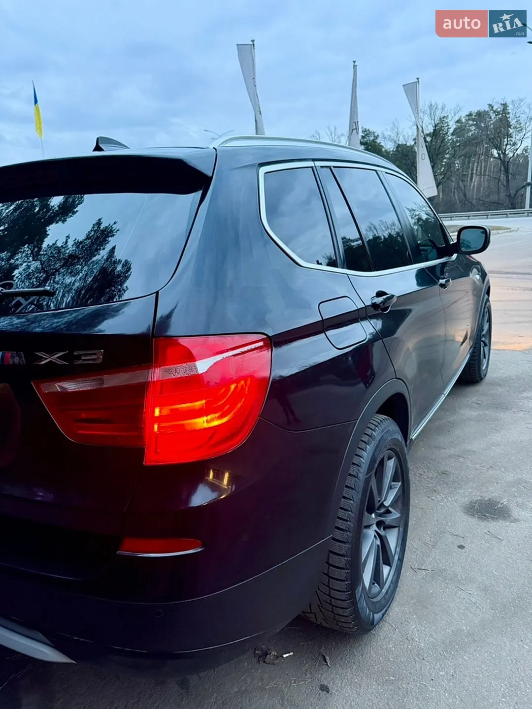 2010 BMW X3 - мініатюра 5