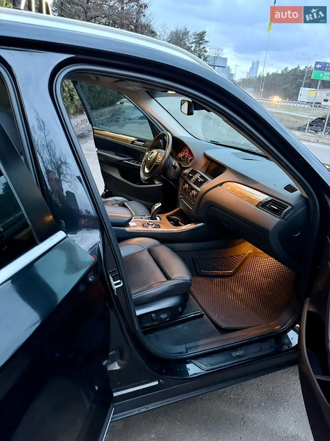 2010 BMW X3 - мініатюра 11