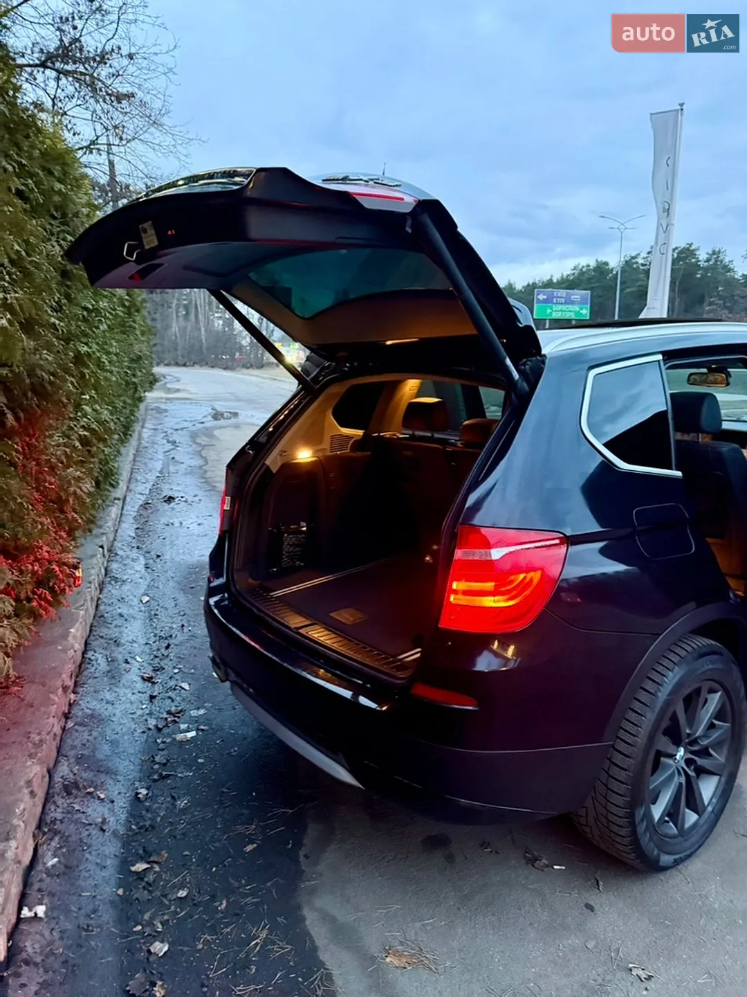 2010 BMW X3 - мініатюра 13