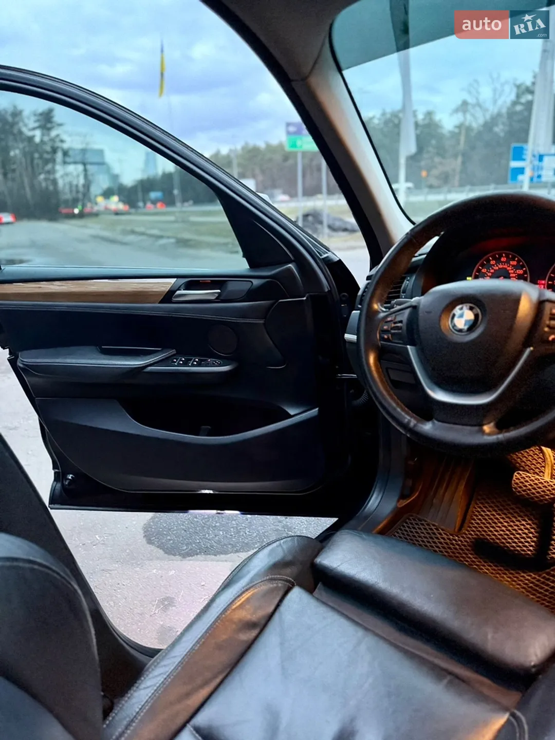 2010 BMW X3 - мініатюра 15