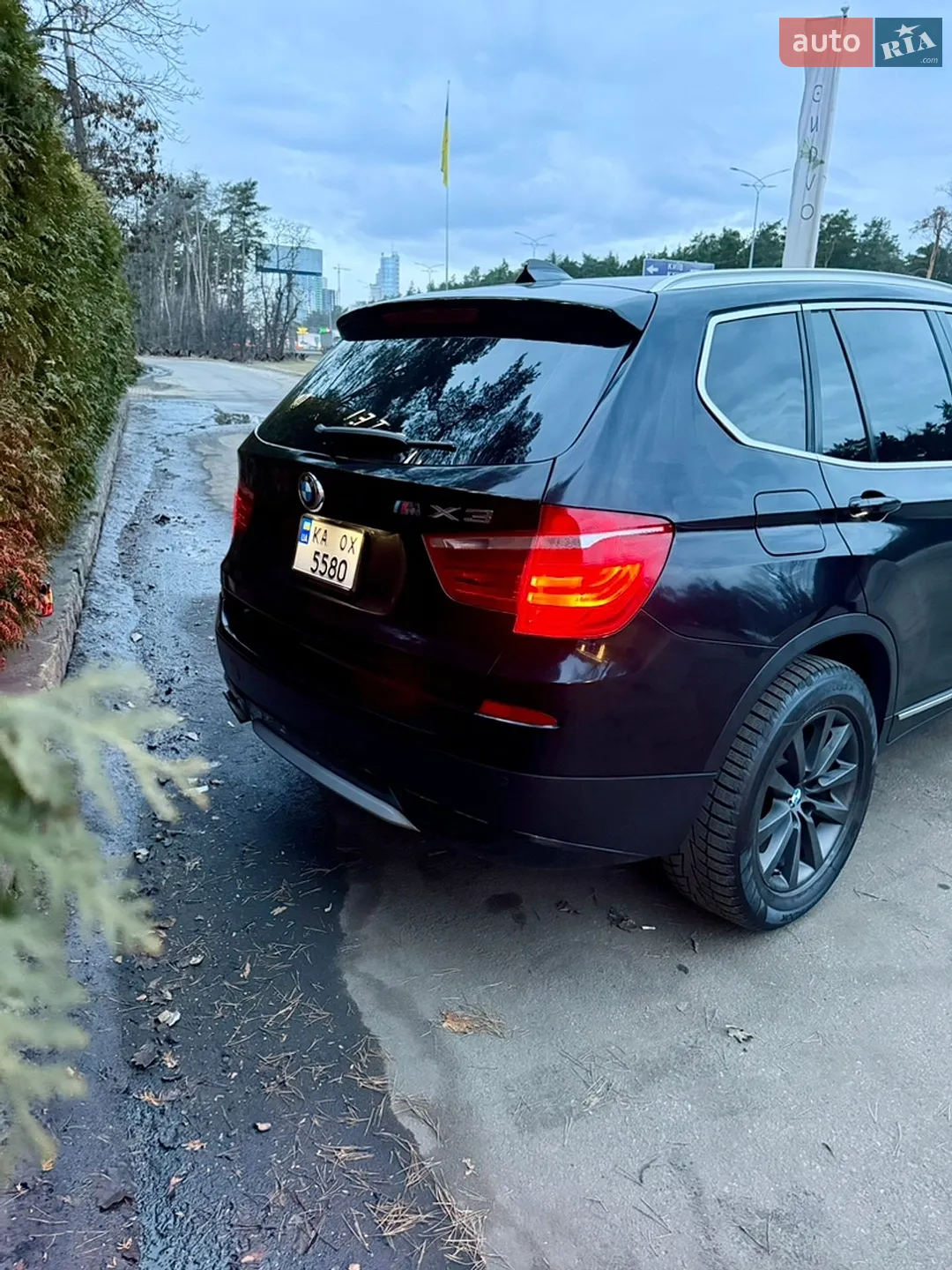 2010 BMW X3 - мініатюра 17