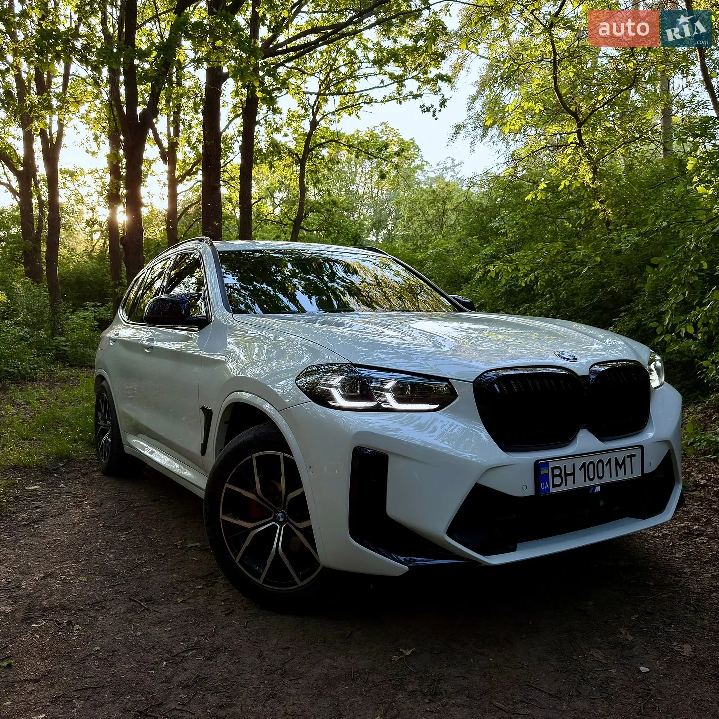 2019 BMW X3 - мініатюра 4