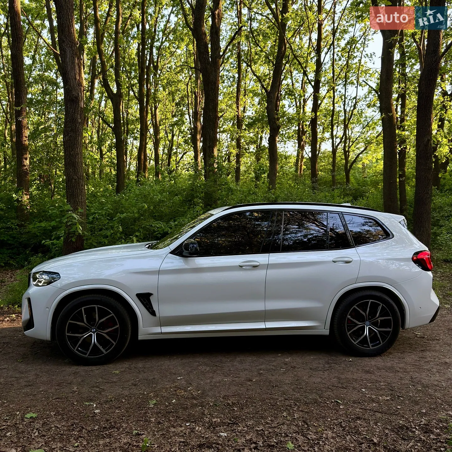 2019 BMW X3 - мініатюра 13