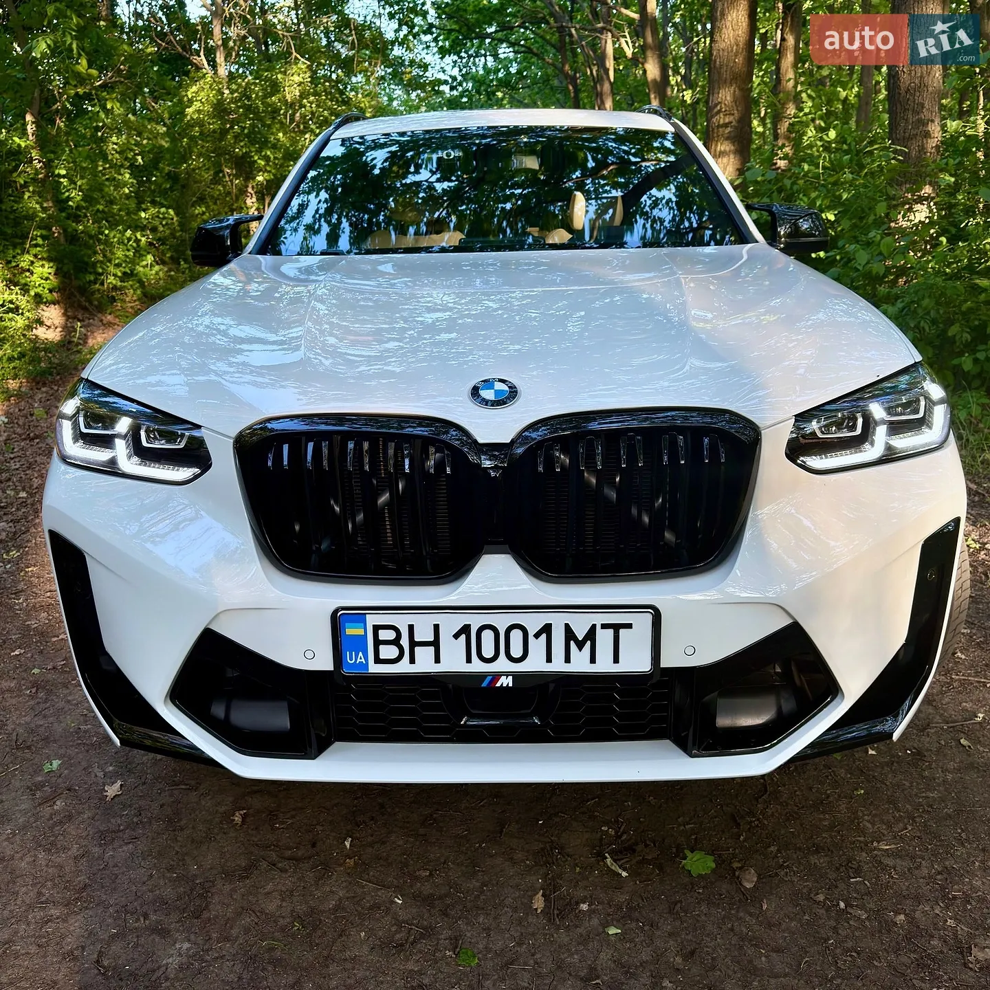 2019 BMW X3 - мініатюра 23
