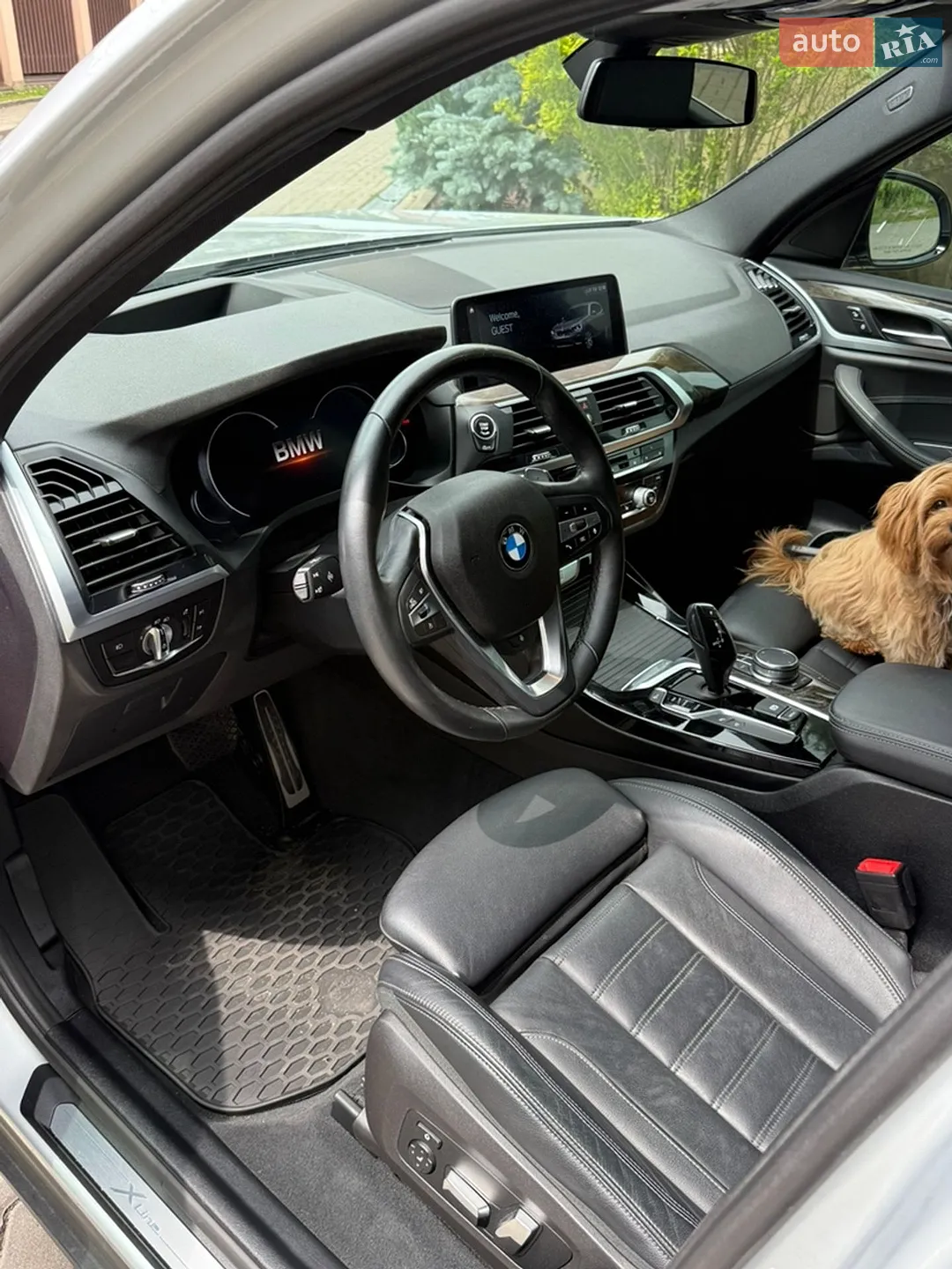 2019 BMW X3 - мініатюра 14