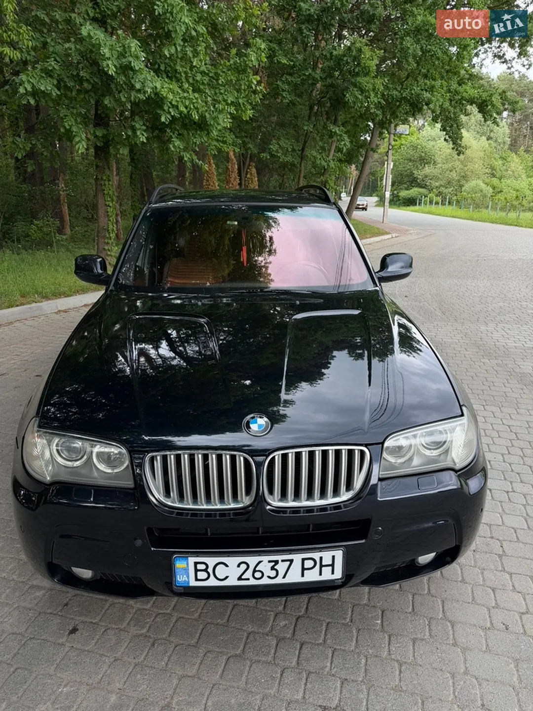 2010 BMW X3 - мініатюра 2