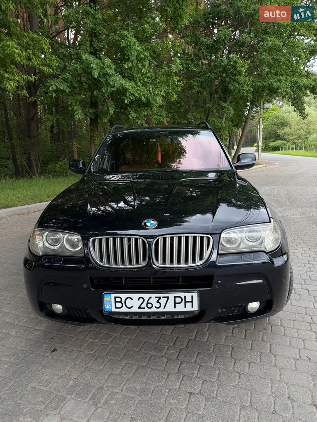 2010 BMW X3 - мініатюра 3