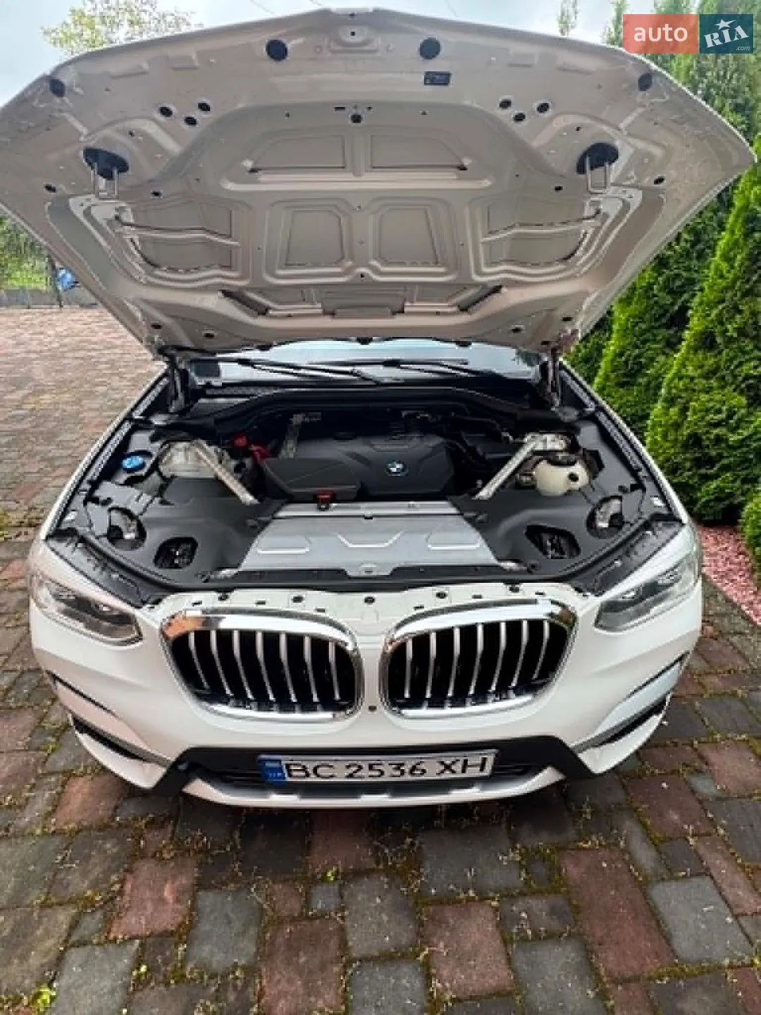 2021 BMW X3 - мініатюра 28