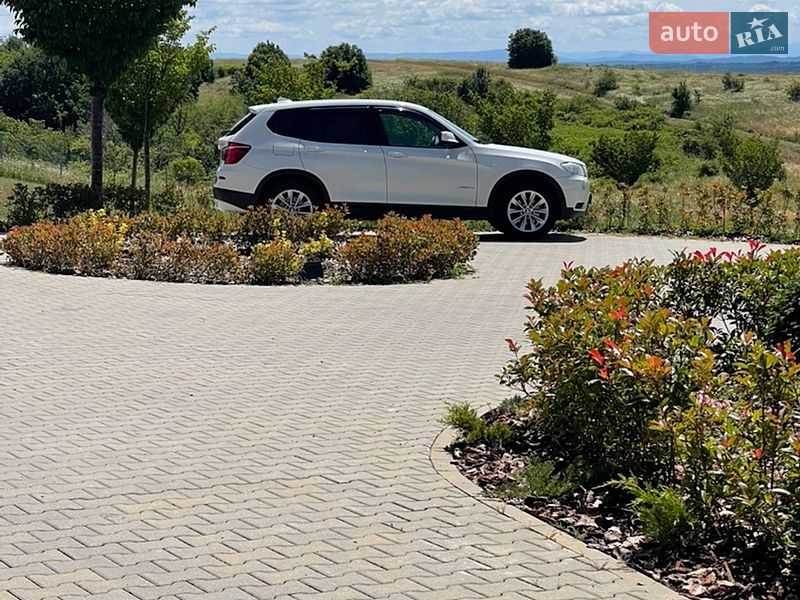 2011 BMW X3, VIN WBAWY31060L537809:plate — фото 1 (autoria)