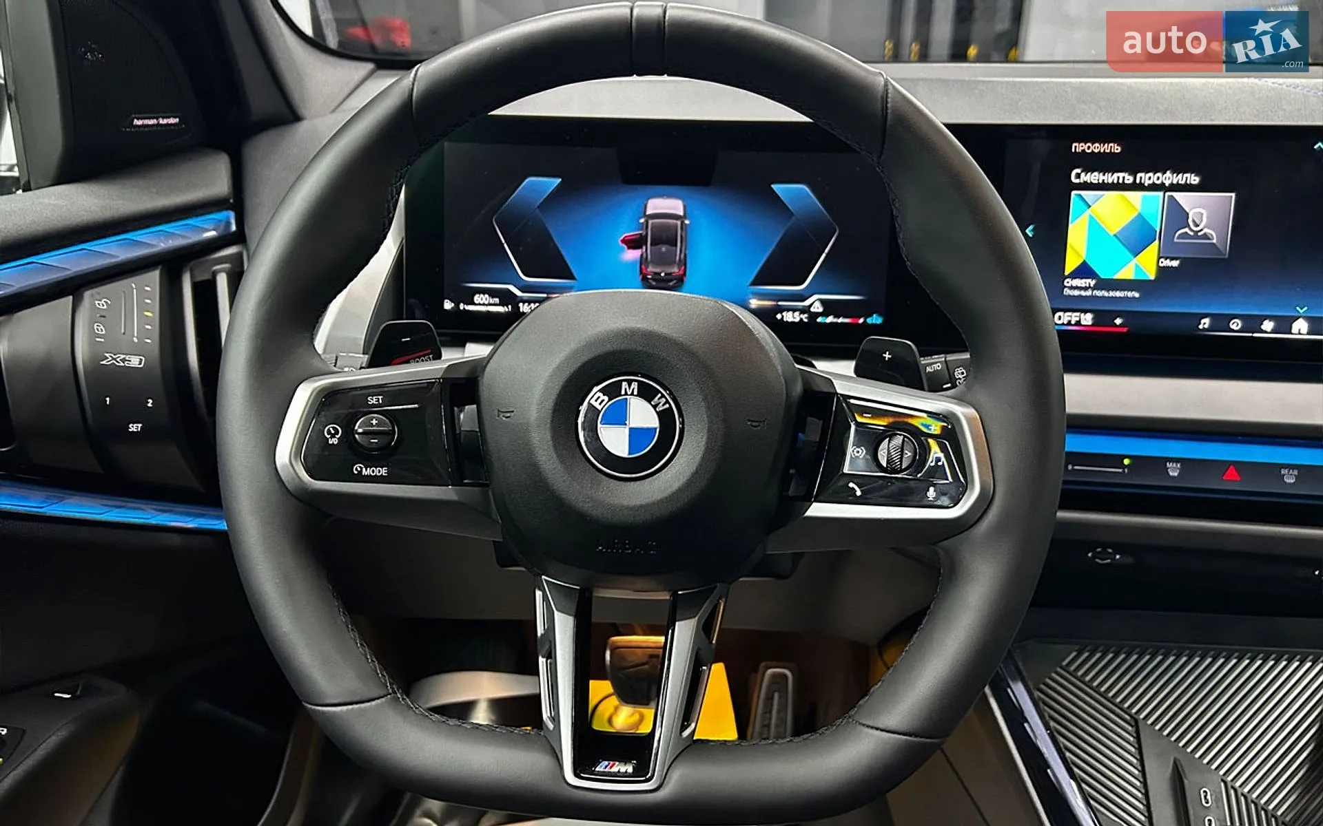 2025 BMW X3 - мініатюра 16