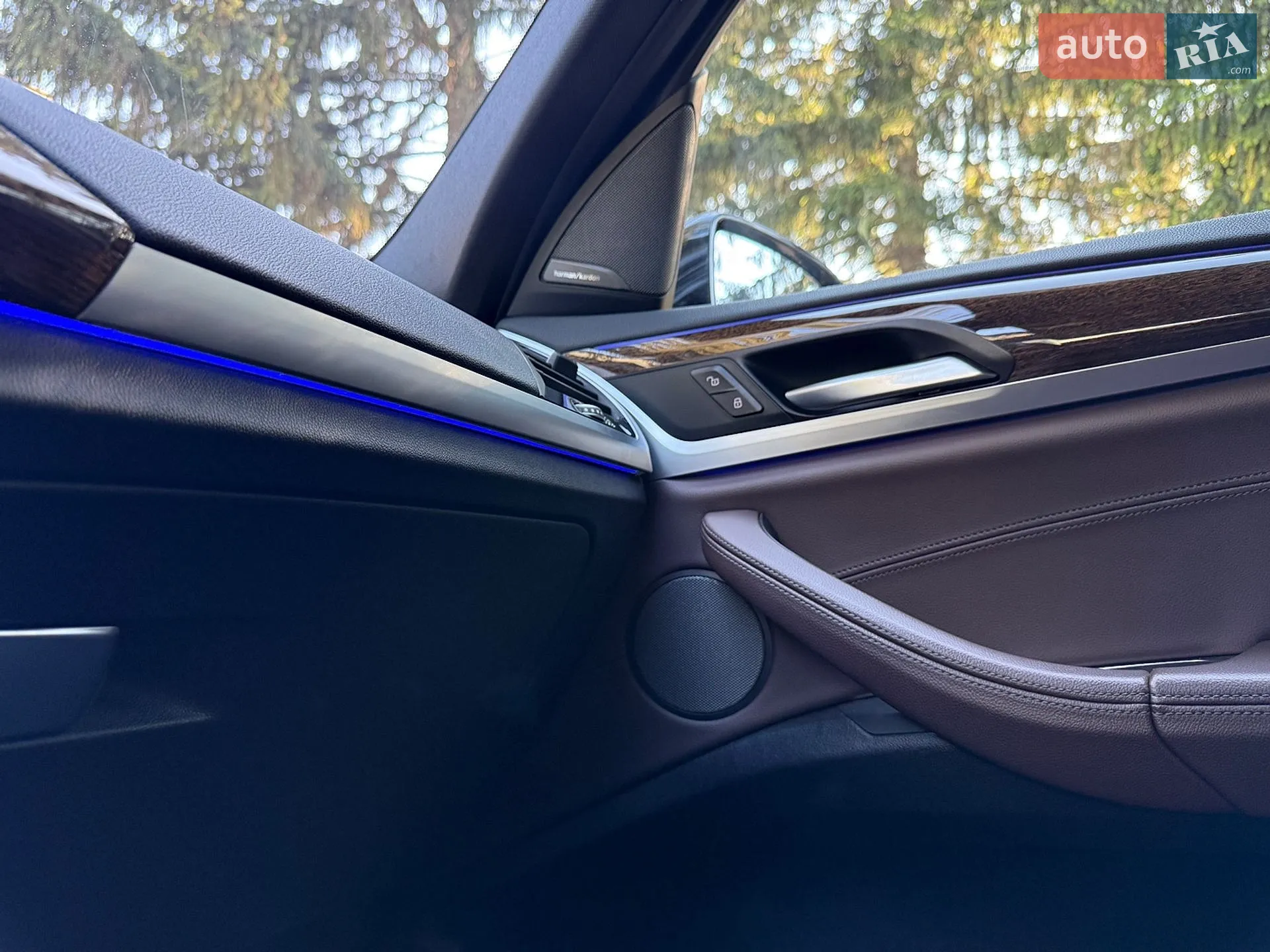 2019 BMW X3 - мініатюра 36