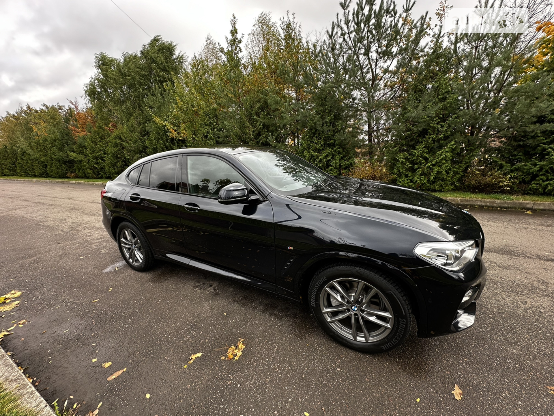 2019 BMW X4 - мініатюра 31