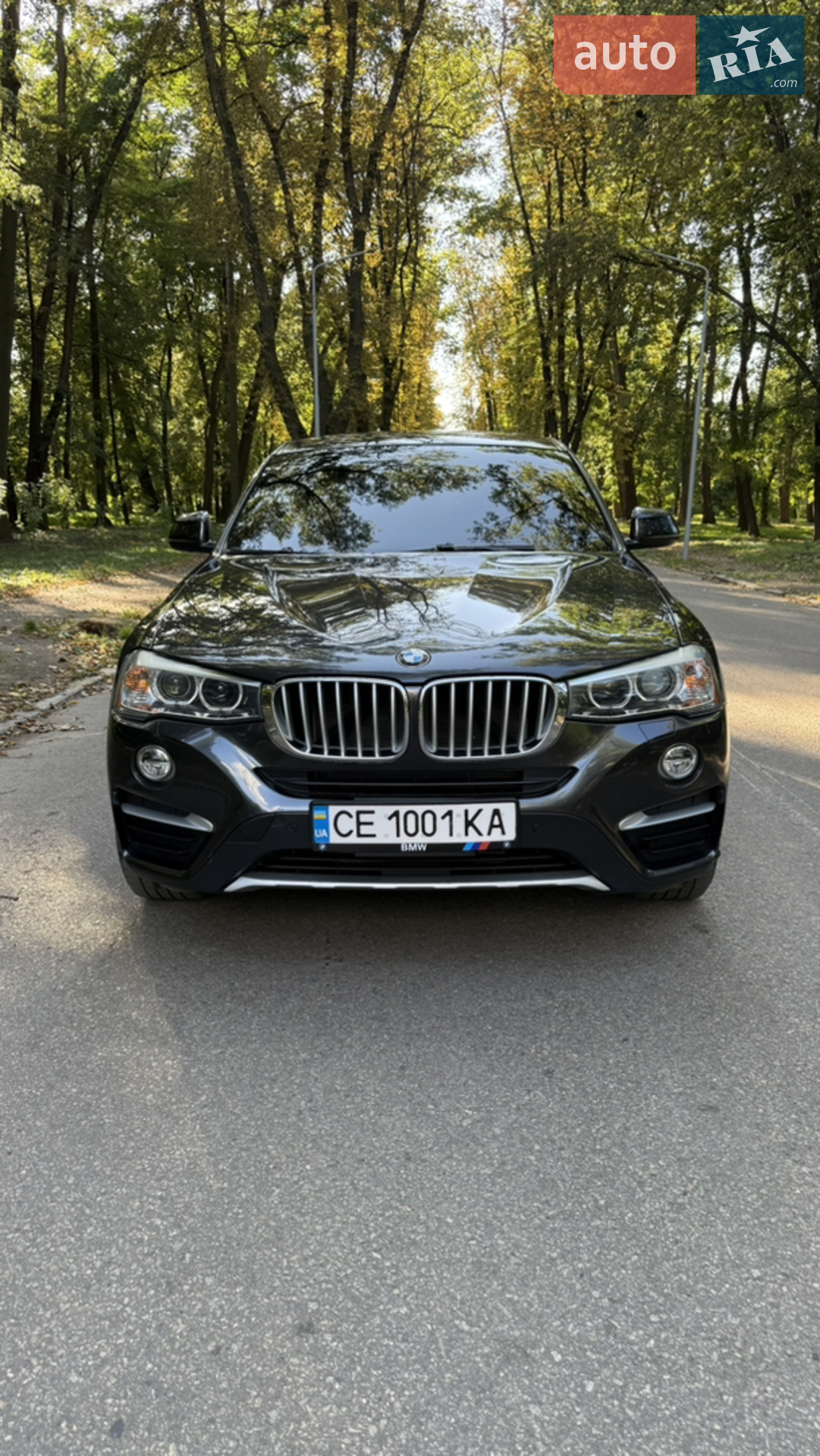 2017 BMW X4 - мініатюра 6