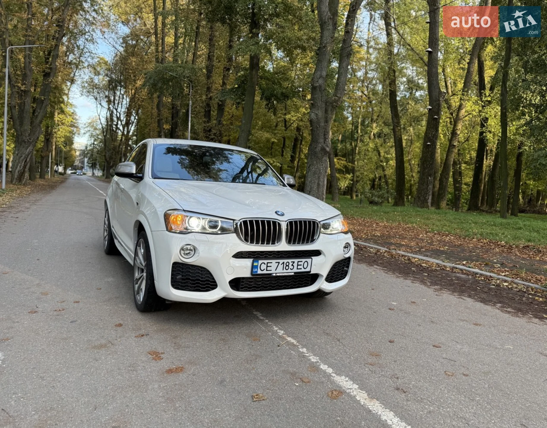 2017 BMW X4 - мініатюра 5
