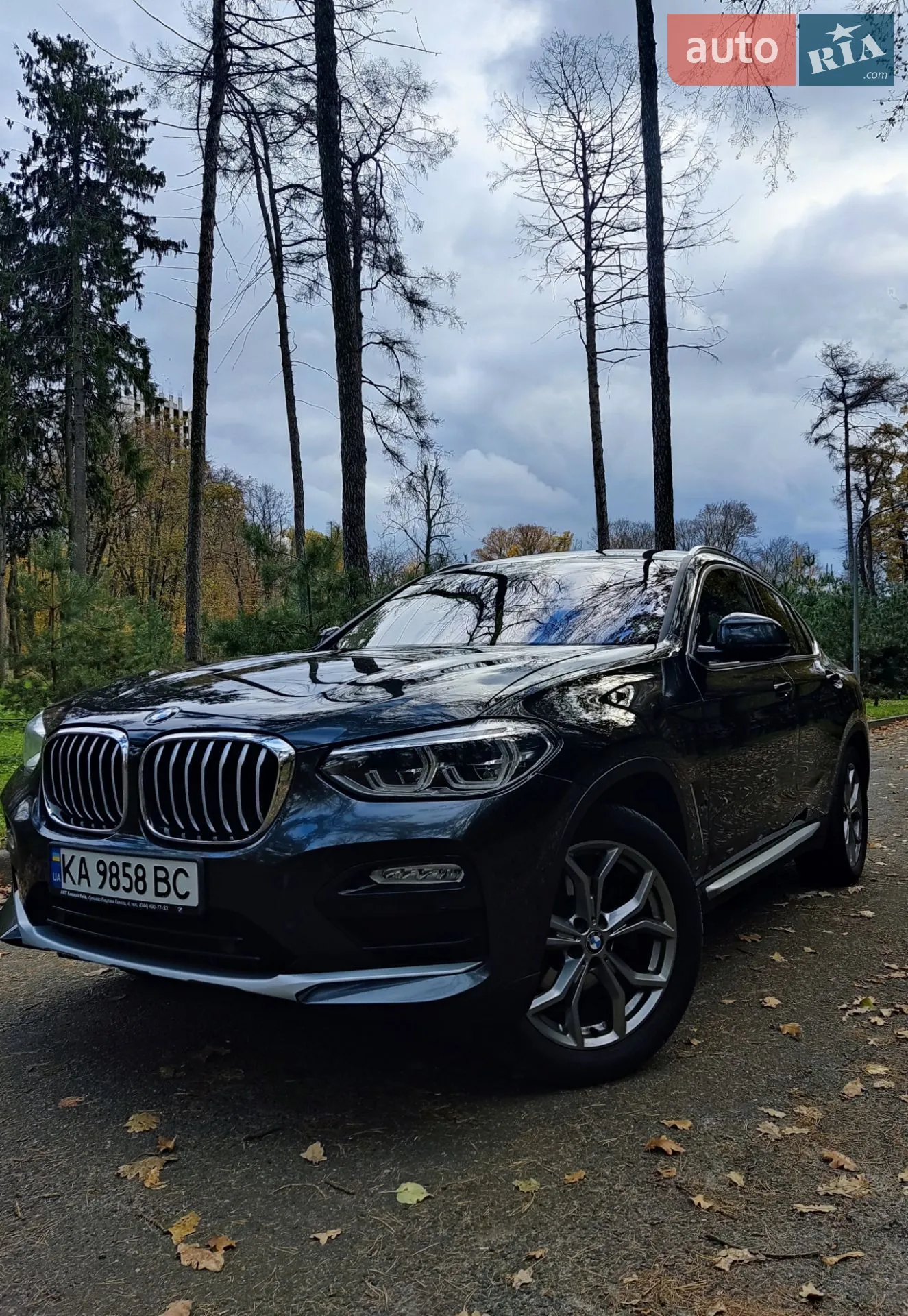 2018 BMW X4 - мініатюра 3