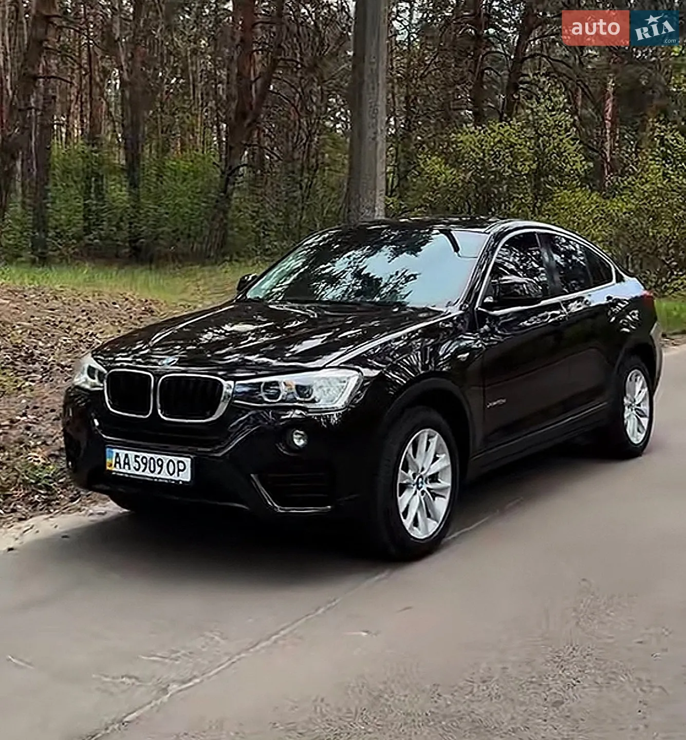 2015 BMW X4 - мініатюра 9