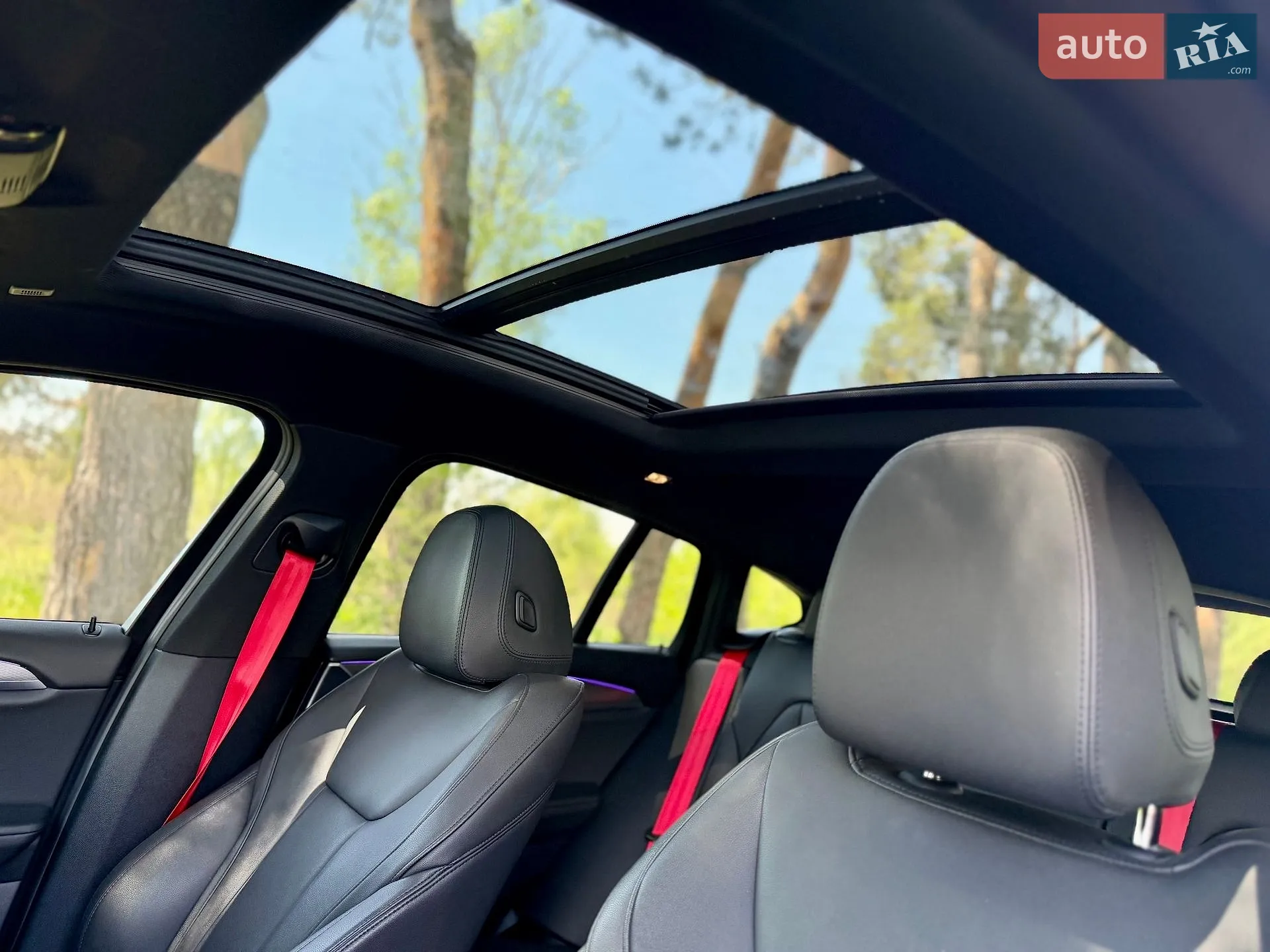 2019 BMW X4 - мініатюра 8