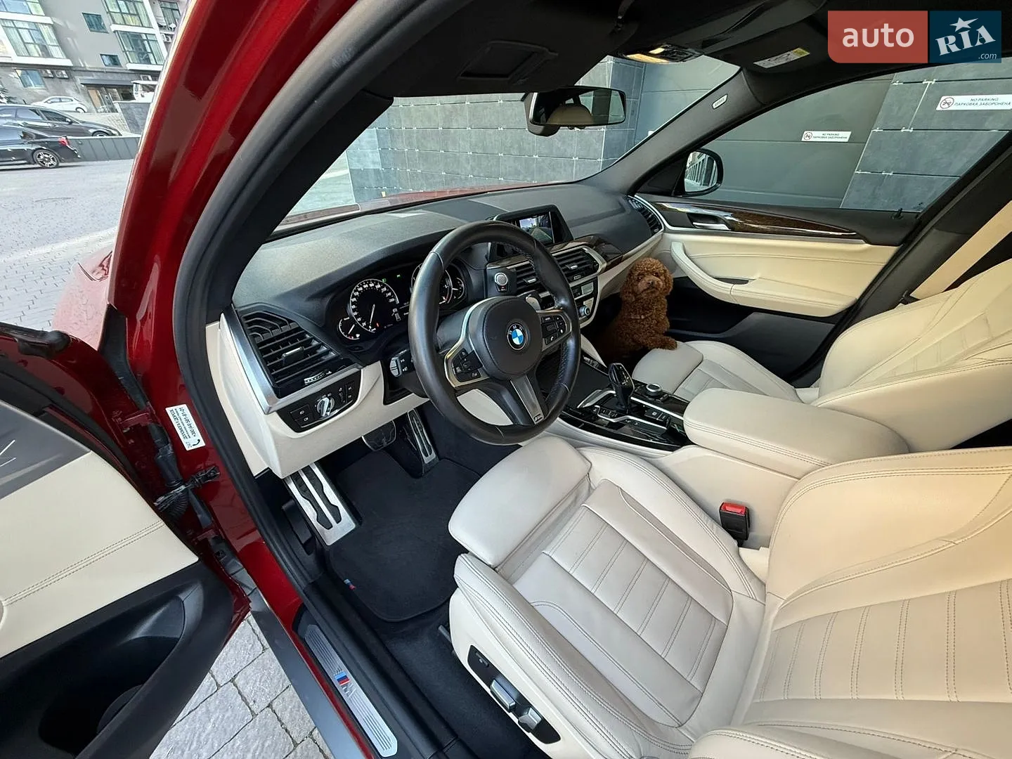 2019 BMW X4 - мініатюра 10