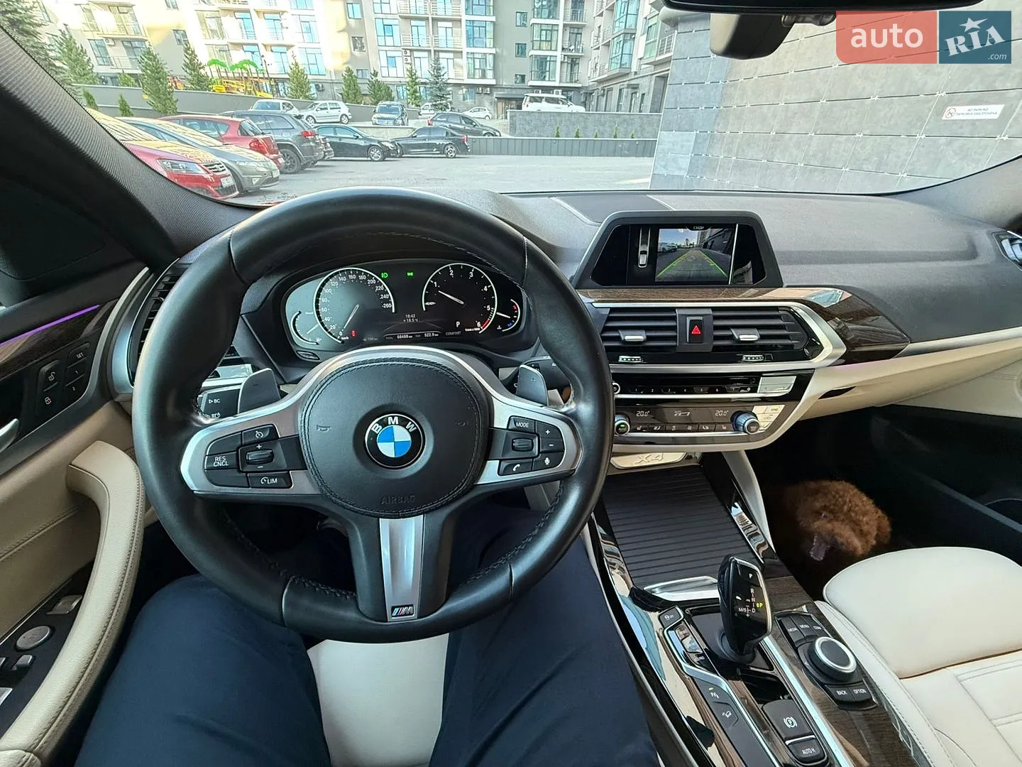 2019 BMW X4 - мініатюра 15