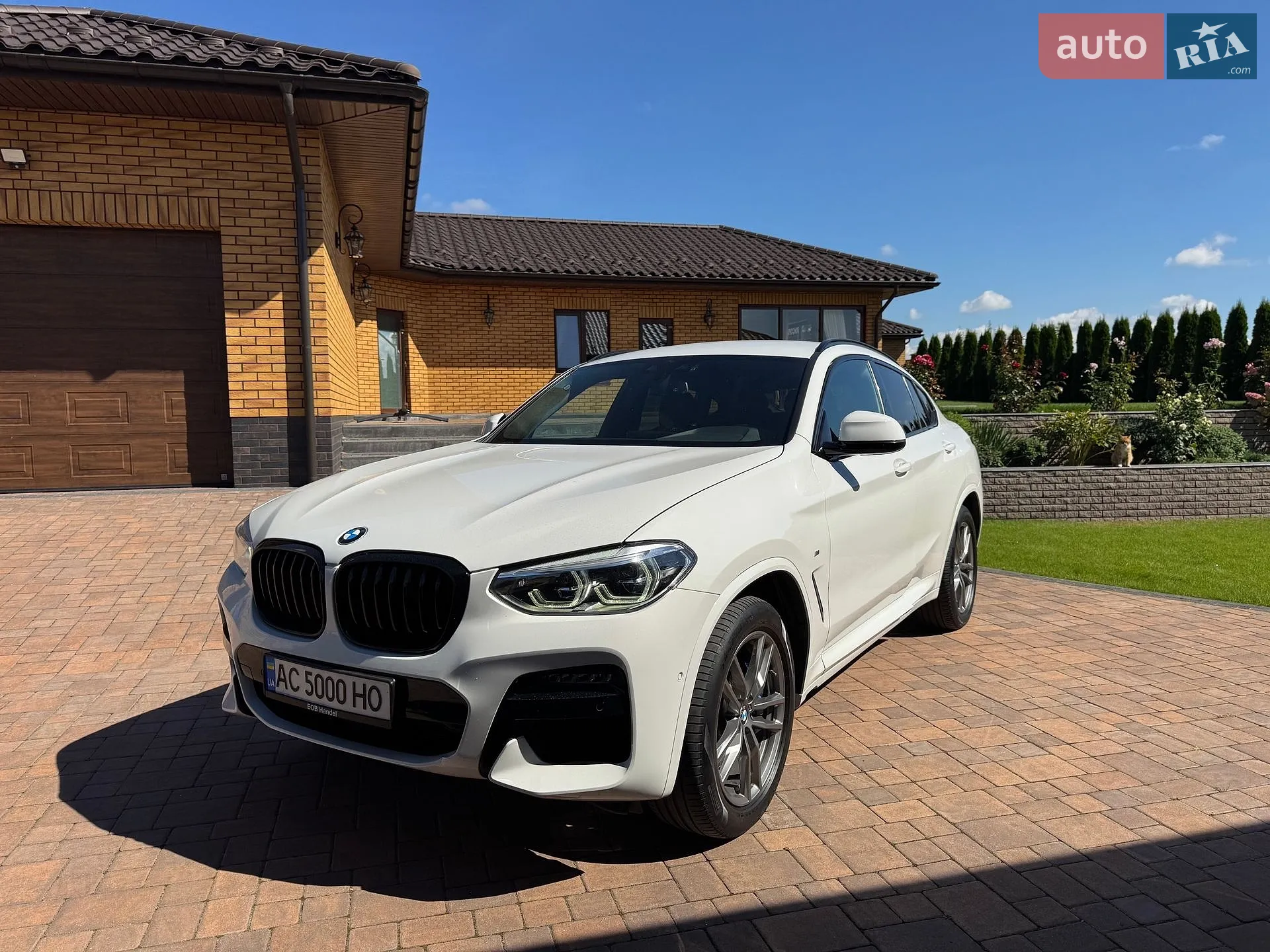 2020 BMW X4 - мініатюра 6