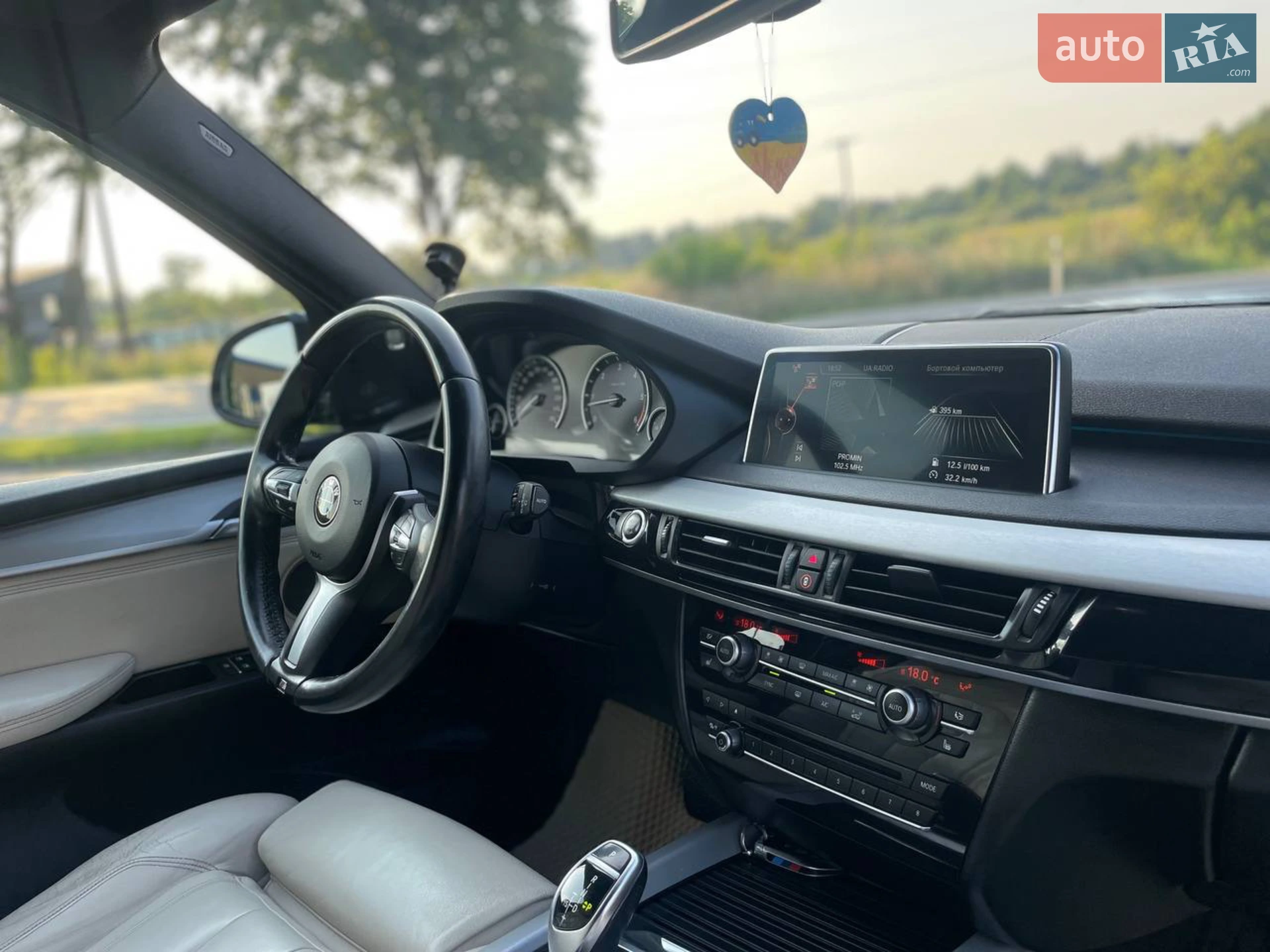2014 BMW X5 - мініатюра 25
