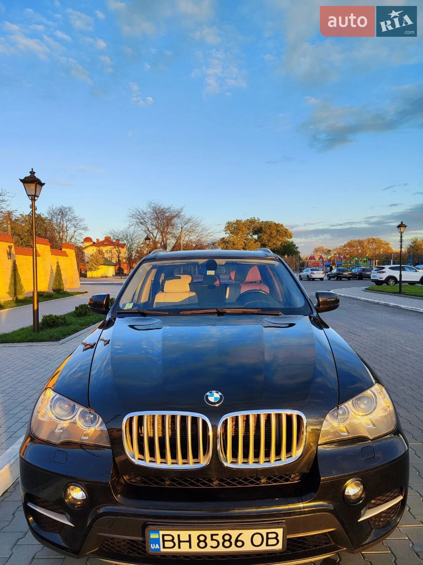 2010 BMW X5 - мініатюра 10
