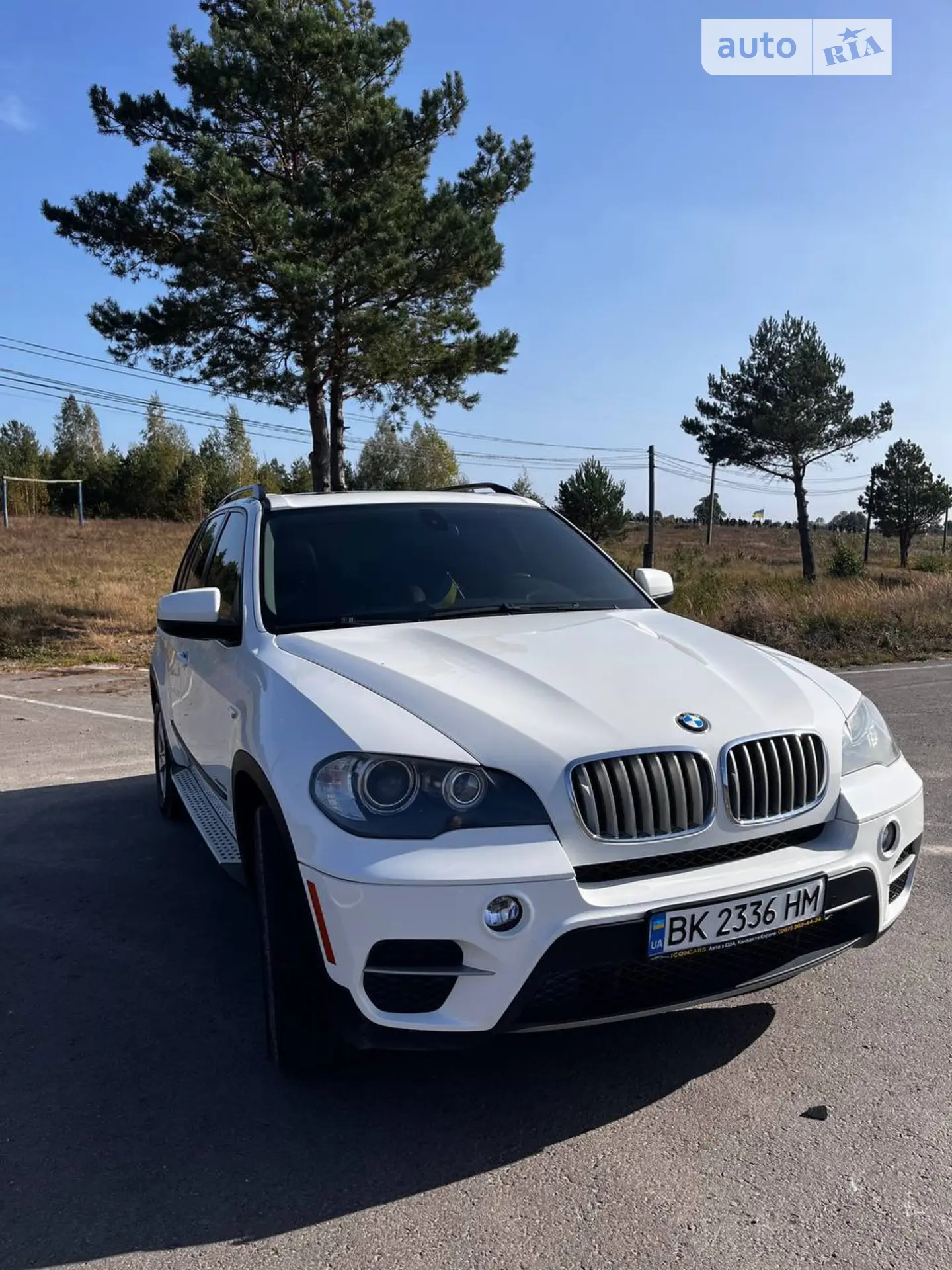 2010 BMW X5 - мініатюра 2