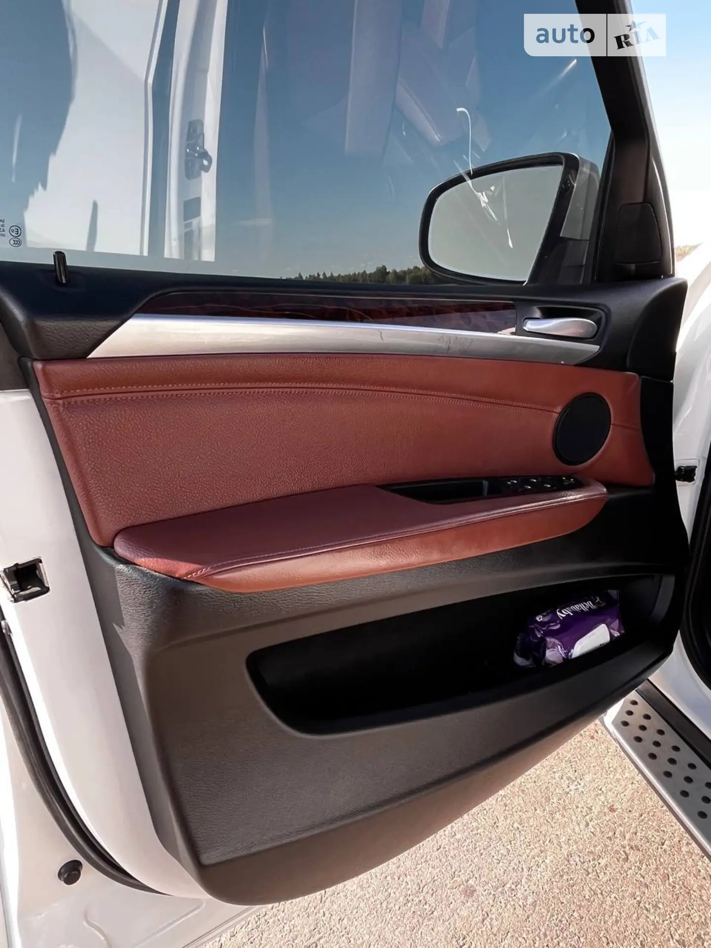 2010 BMW X5 - мініатюра 14