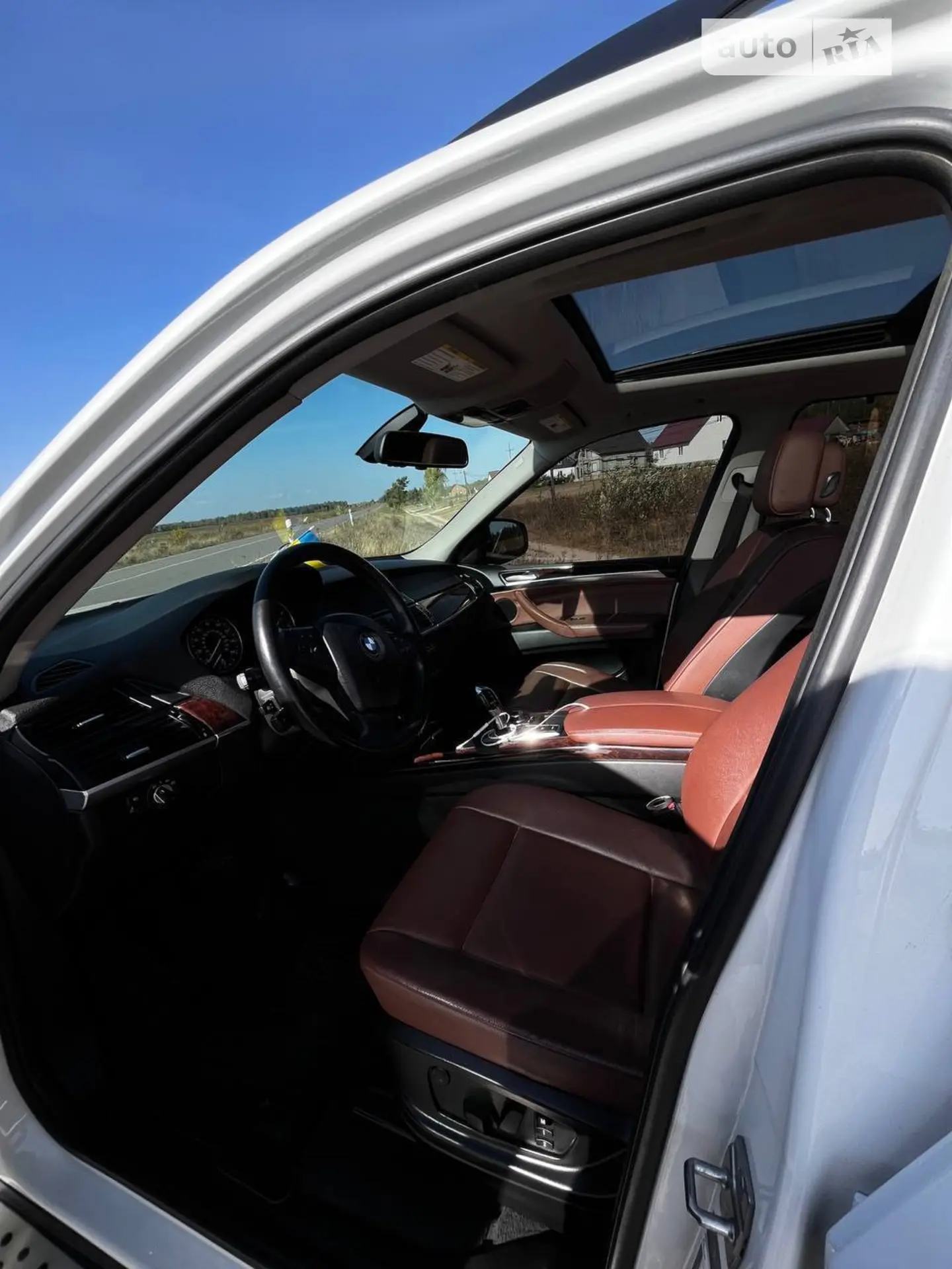 2010 BMW X5 - мініатюра 13