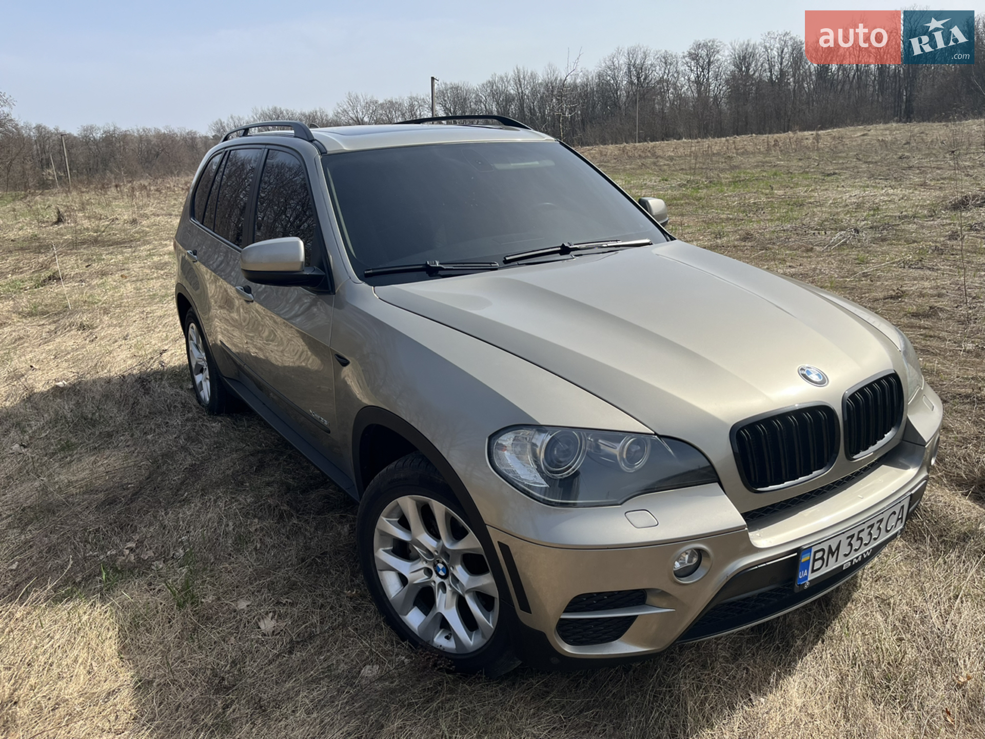 2010 BMW X5 - фото 1