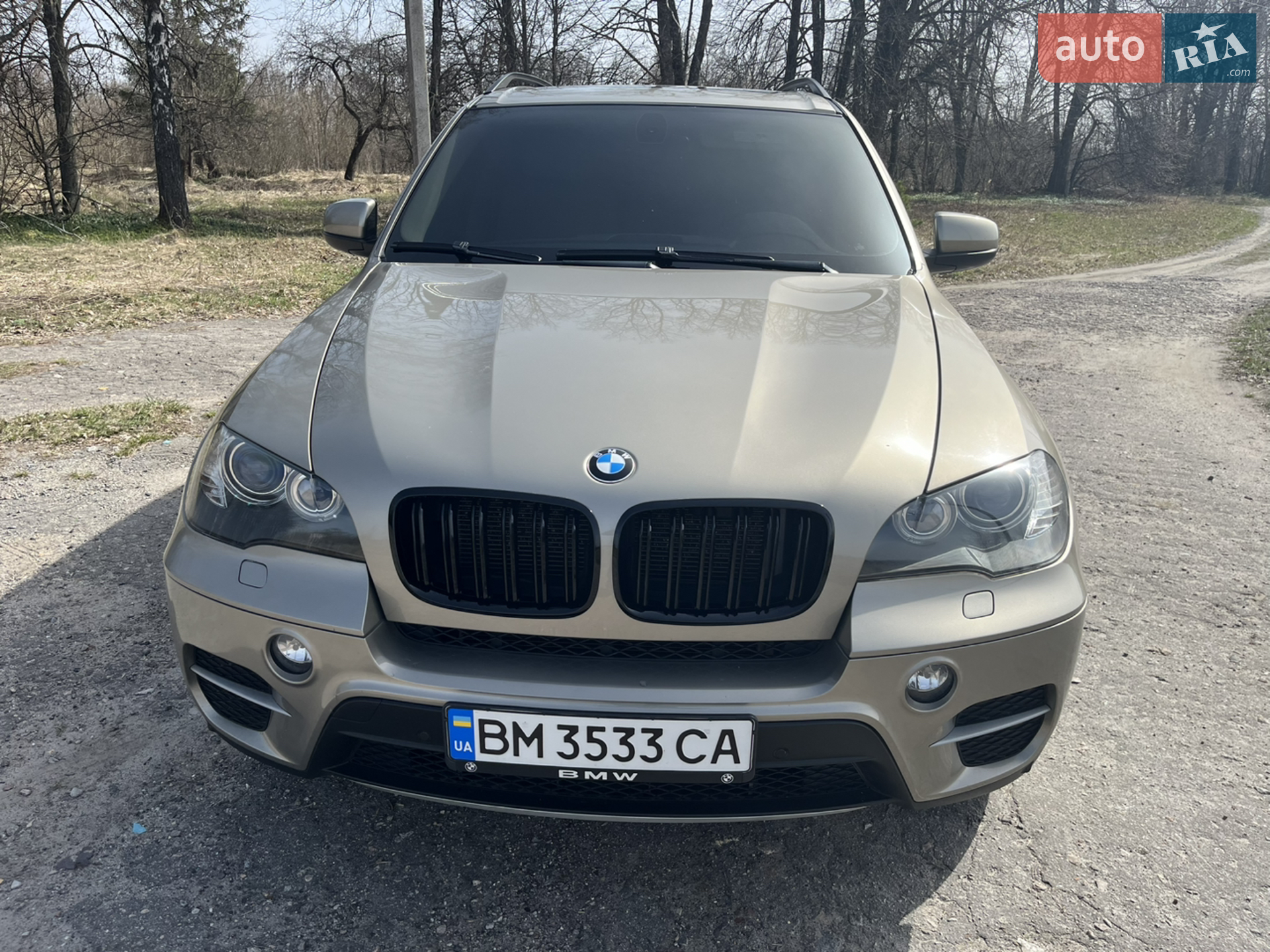 2010 BMW X5 - мініатюра 25