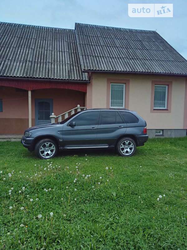 Внедорожник / Кроссовер BMW X5 2003 в Хусте