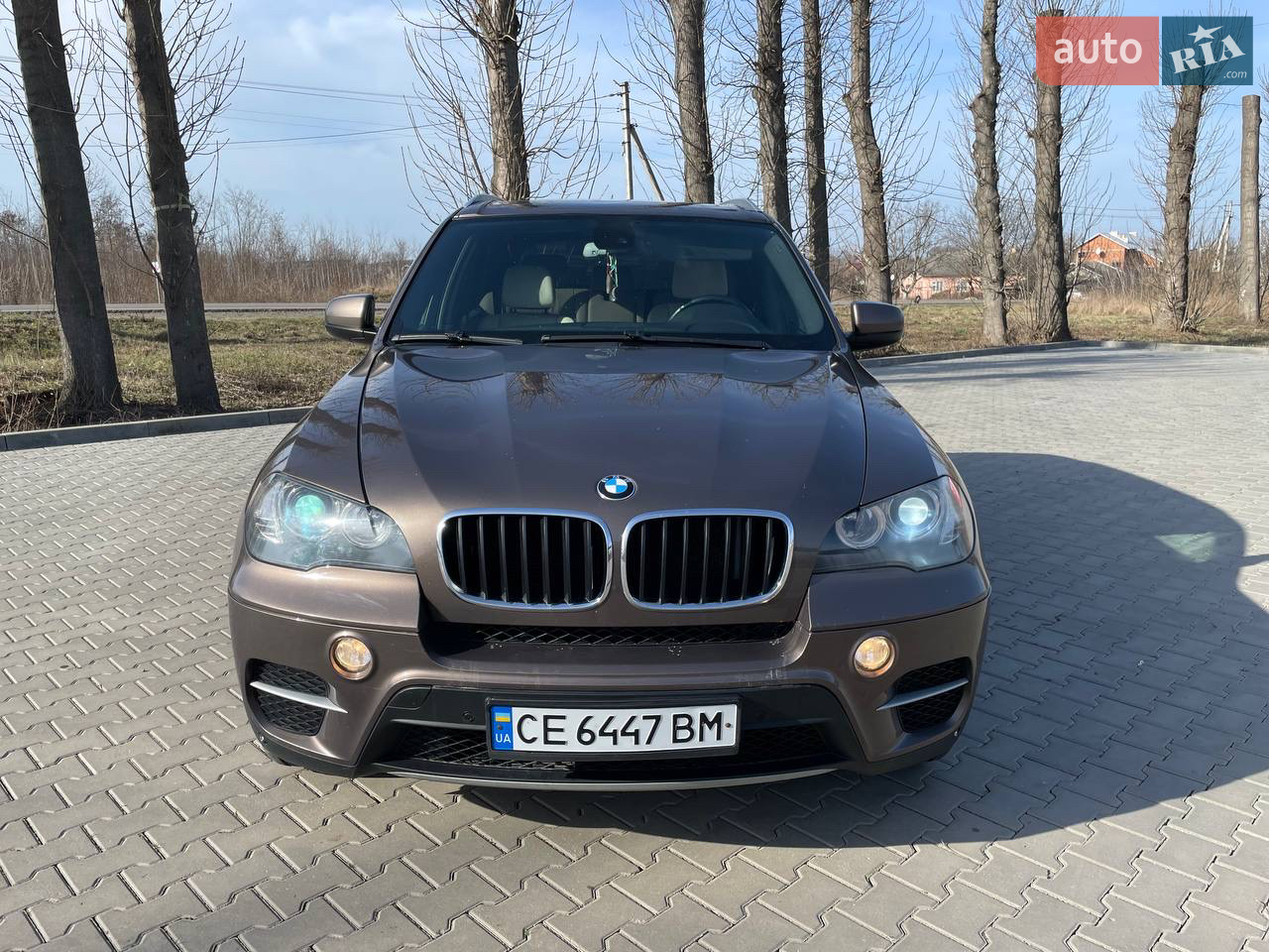 2010 BMW X5 - мініатюра 23