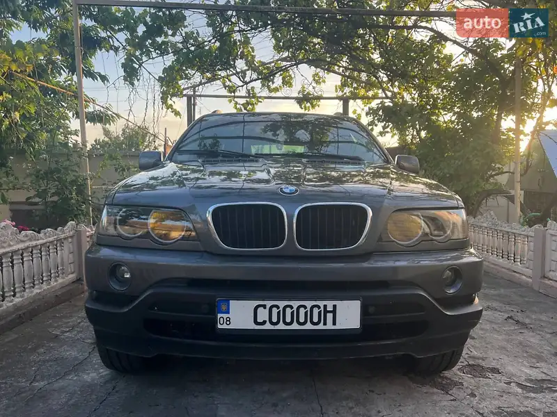BMW X5