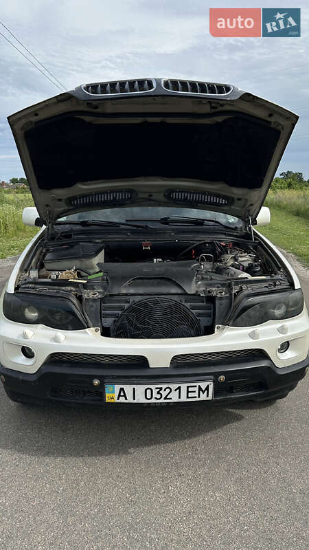 Внедорожник / Кроссовер BMW X5 2005 в Барышевке фото 28 Внедорожник / Кроссовер BMW X5 2005 в Барышевке