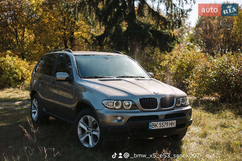 Позашляховик / Кросовер BMW X5 2005 в Дубровиці фото 2 Позашляховик / Кросовер BMW X5 2005 в Дубровиці