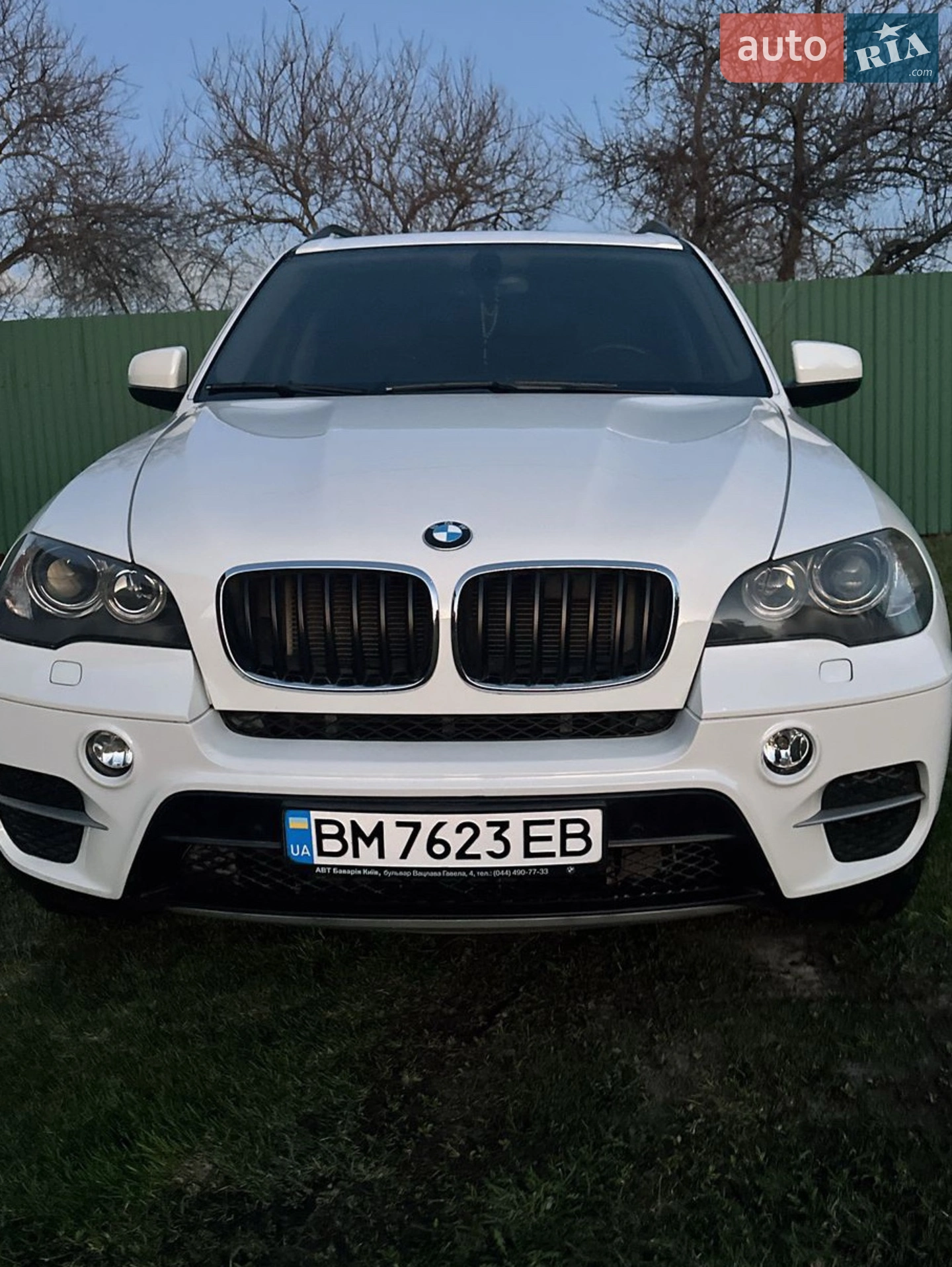 2010 BMW X5 - фото 1