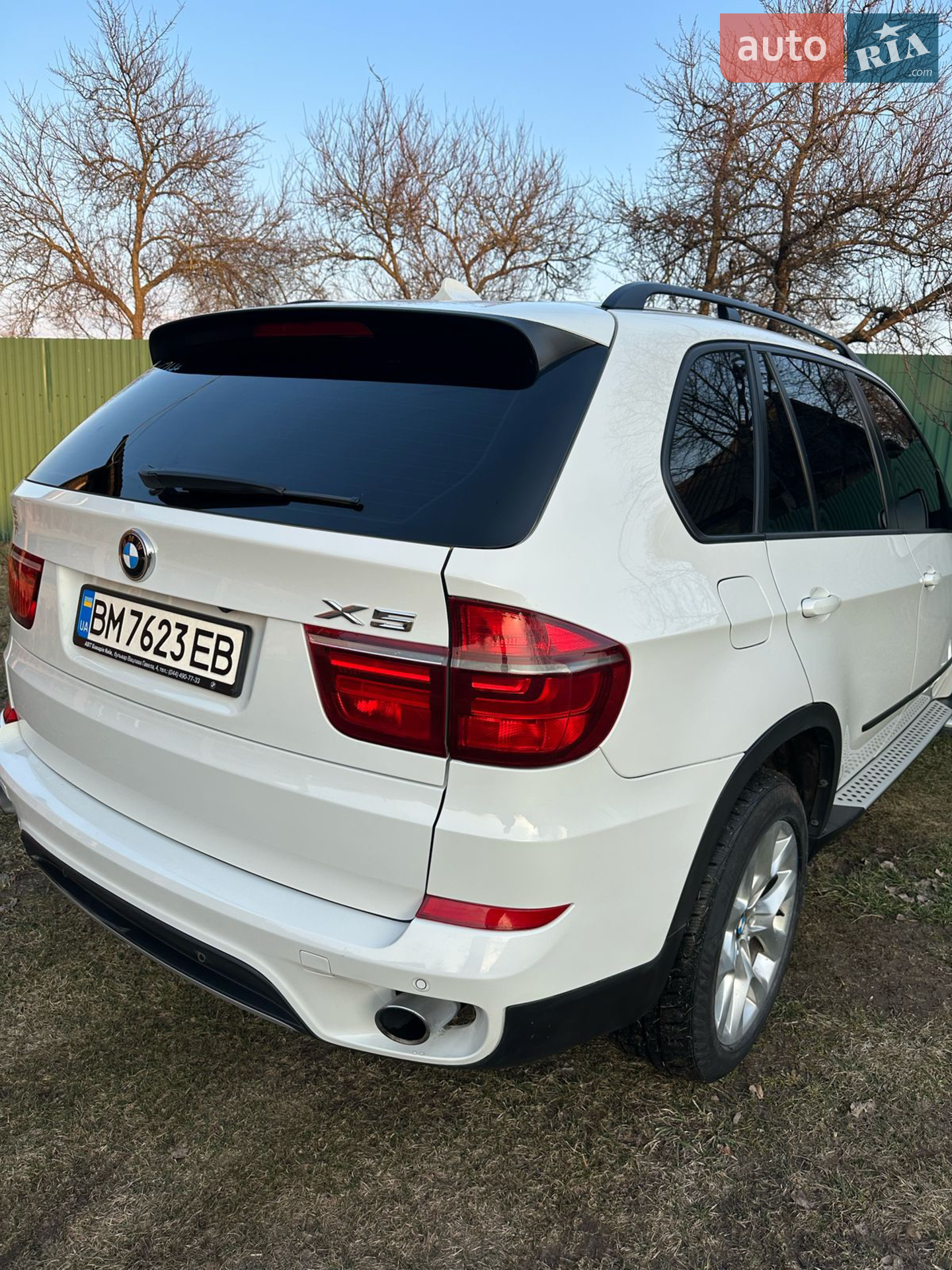 2010 BMW X5 - мініатюра 4