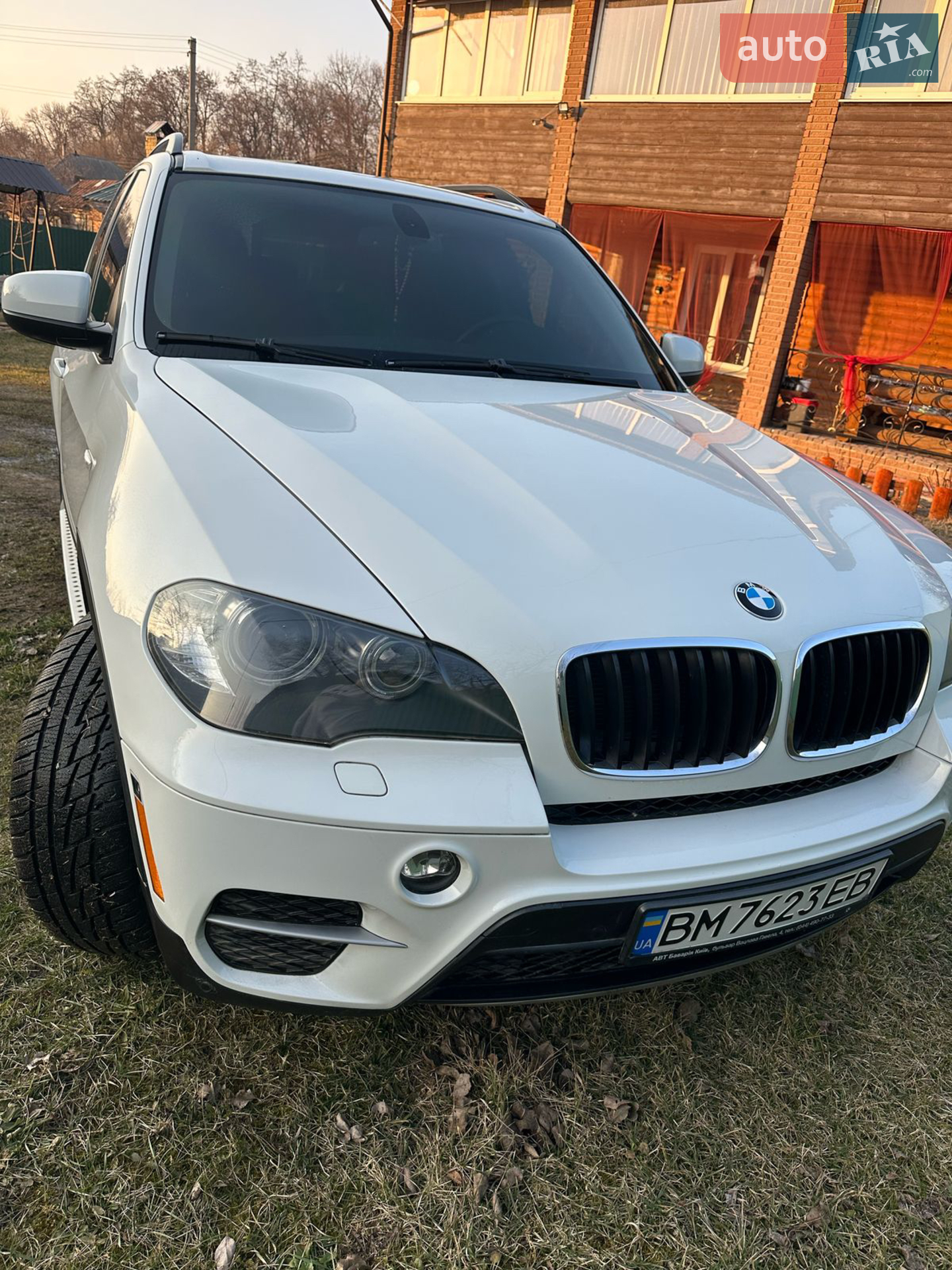 2010 BMW X5 - мініатюра 3