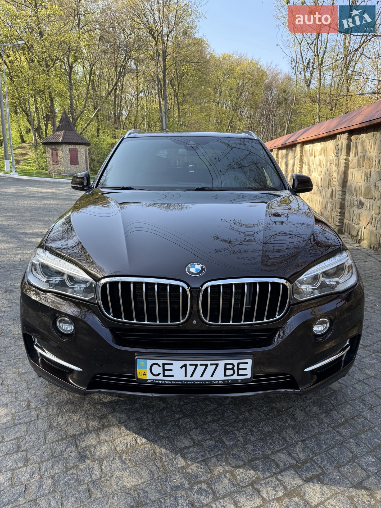2014 BMW X5 - мініатюра 2