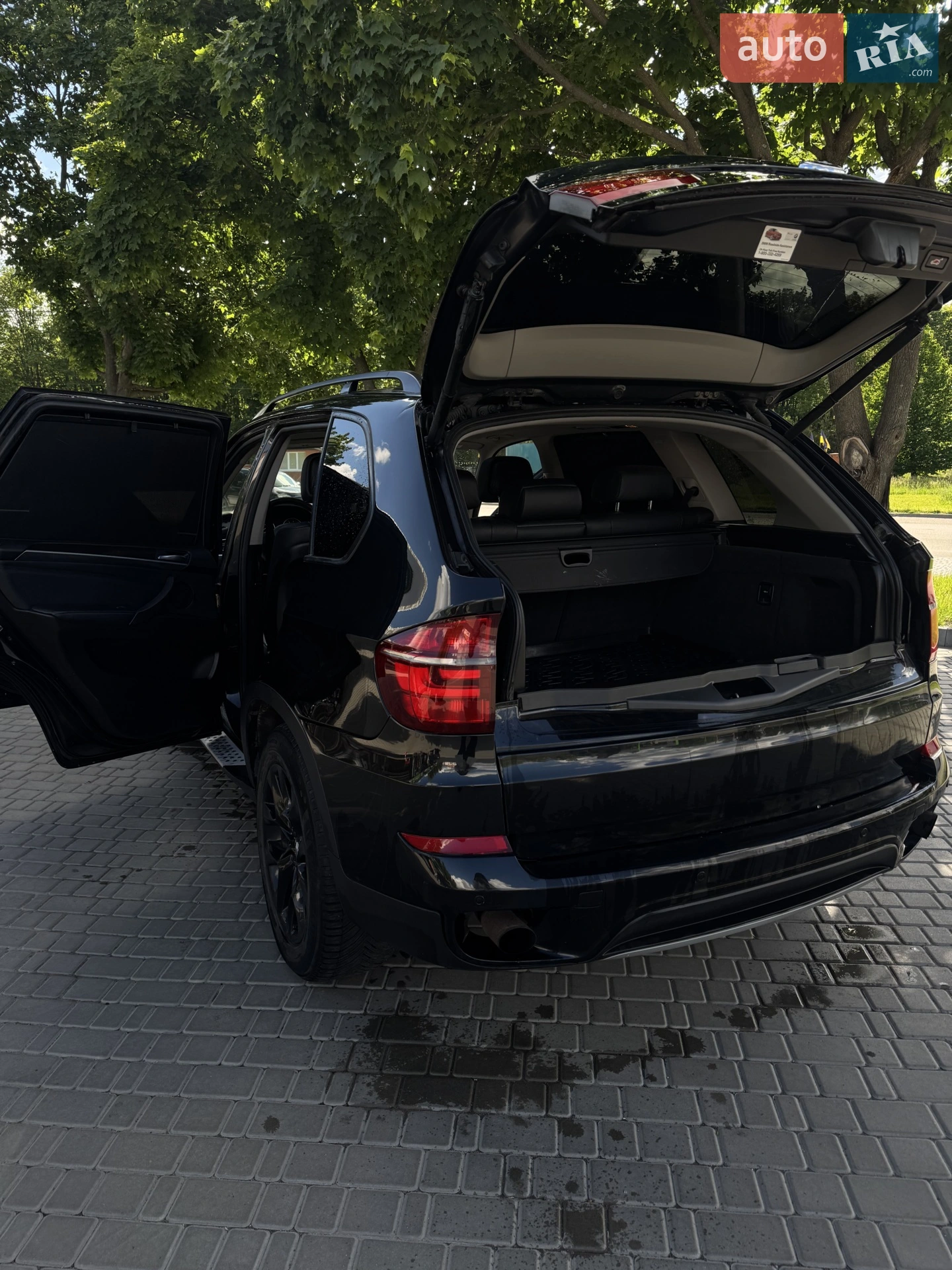 2010 BMW X5 - мініатюра 11
