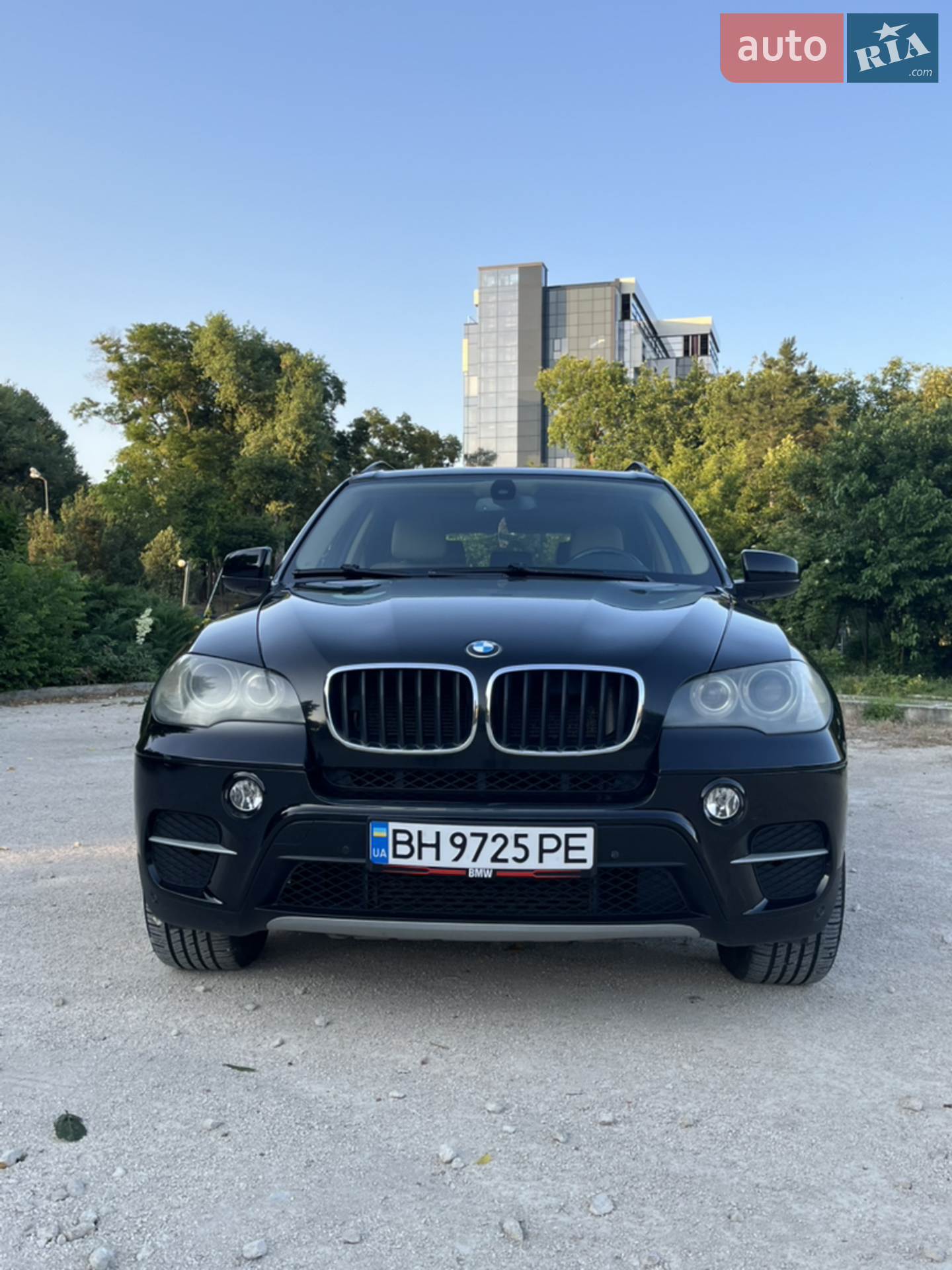 2010 BMW X5 - мініатюра 2