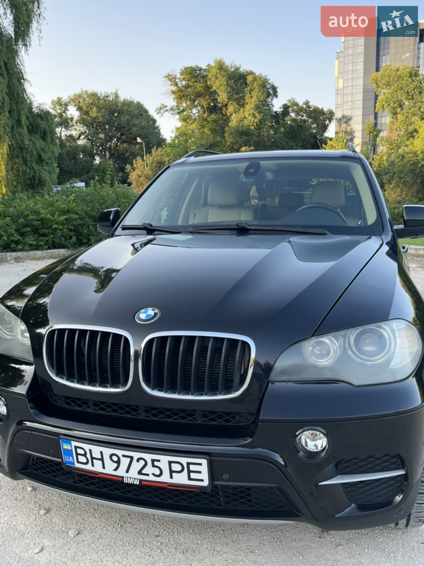 2010 BMW X5 - мініатюра 38