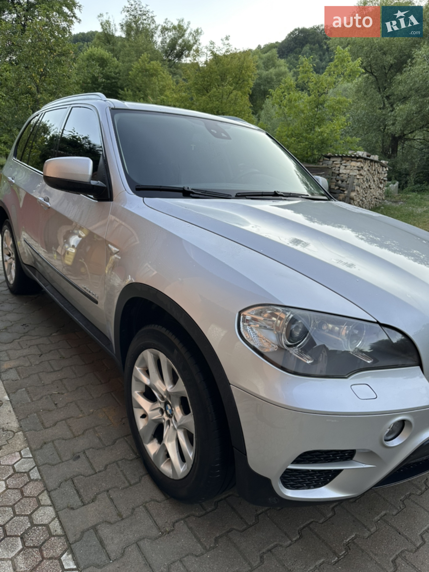 2010 BMW X5 - мініатюра 7