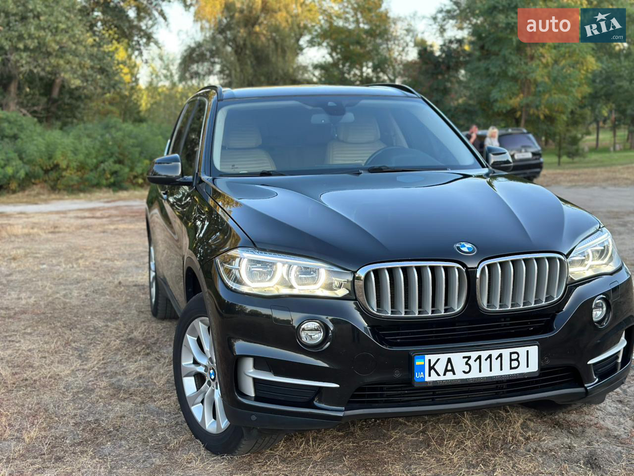 2014 BMW X5 - мініатюра 59