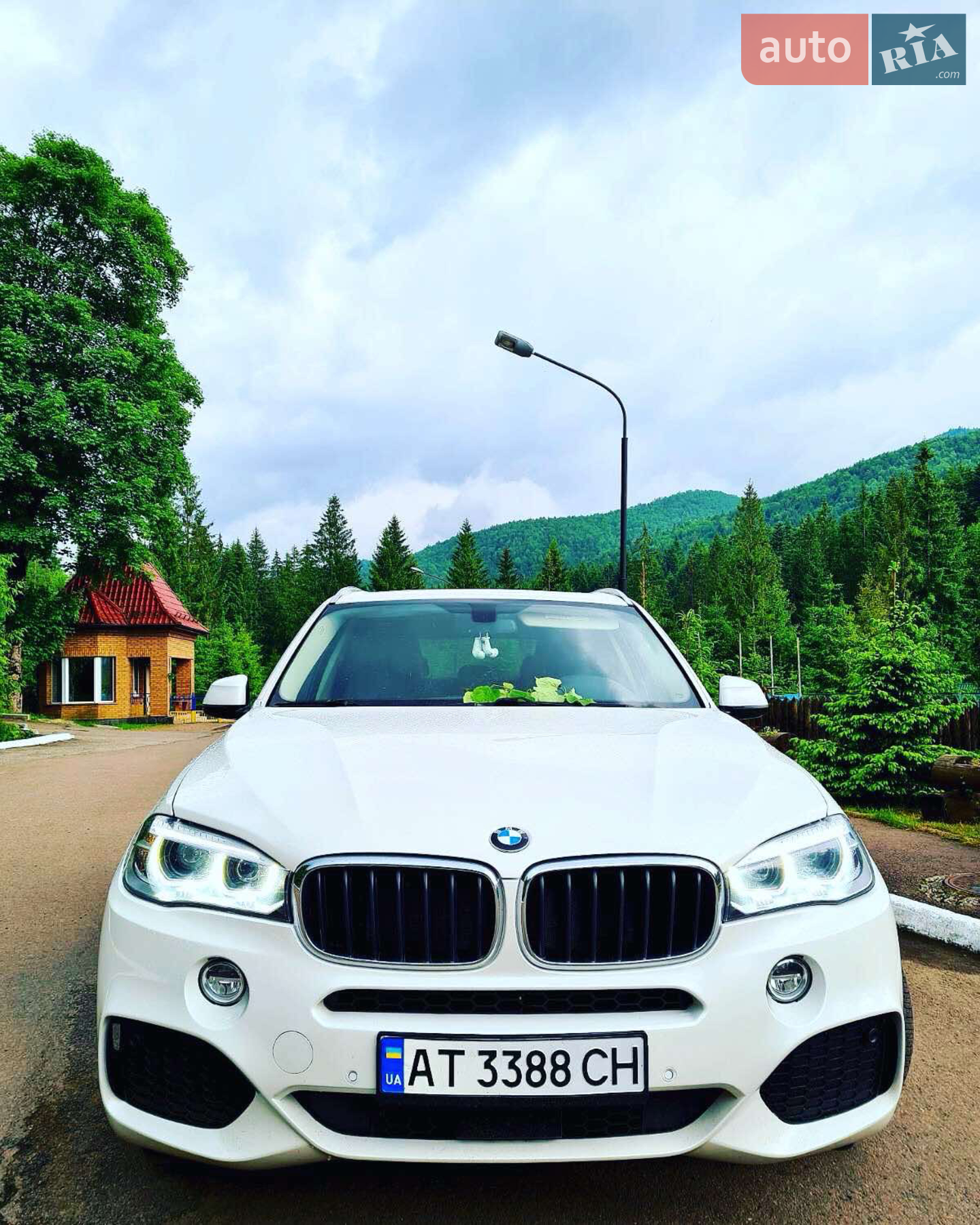 2014 BMW X5 - мініатюра 2