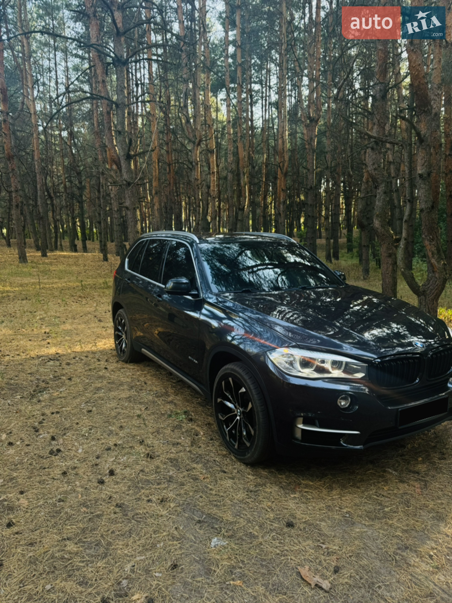 2017 BMW X5 - мініатюра 3