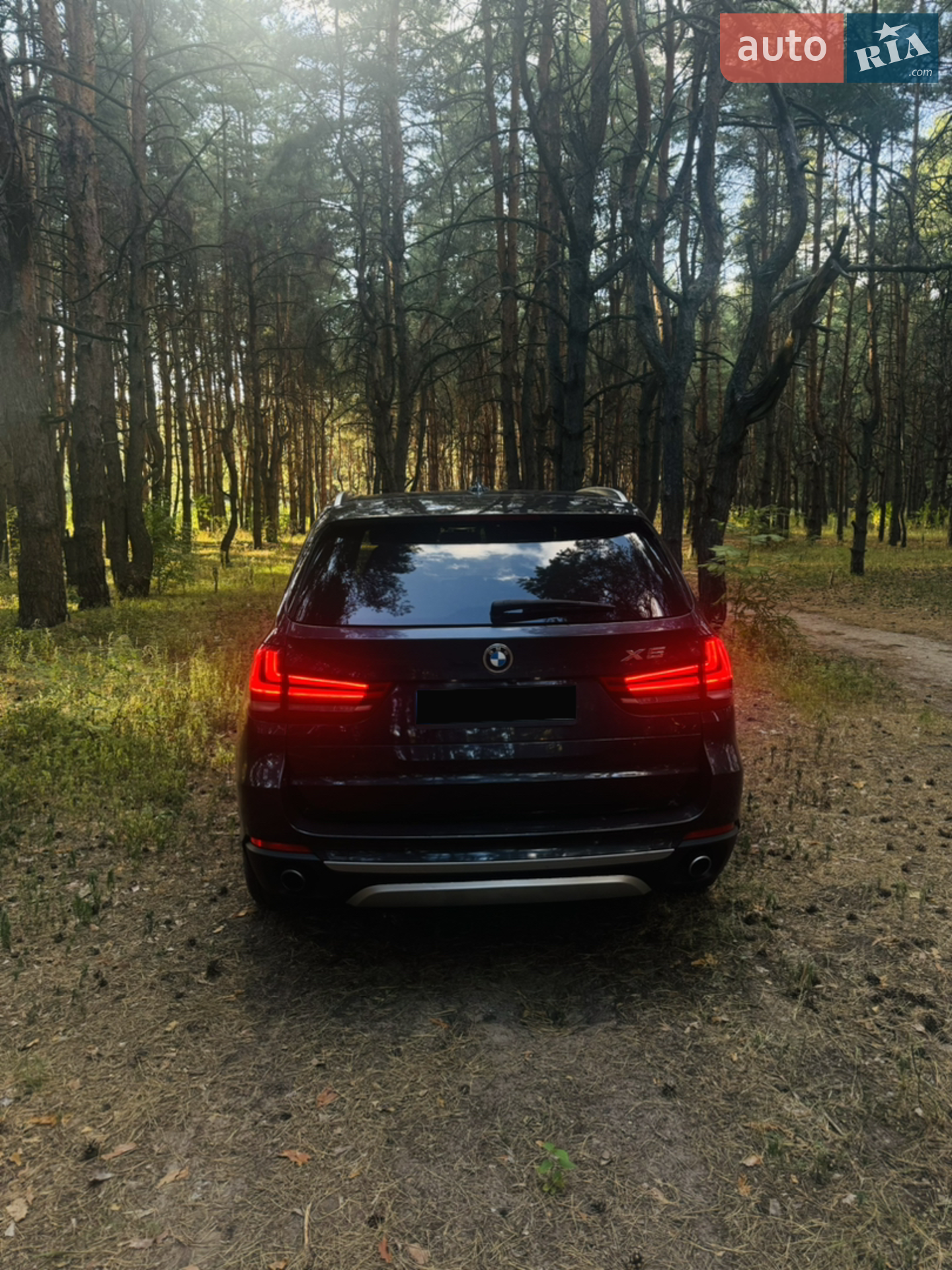 2017 BMW X5 - мініатюра 6